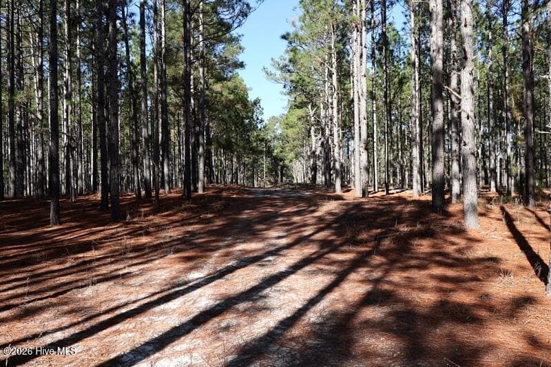 Wooded at Tbd 7 Nc Hwy 130 Road, Fairmont, NC 28340, photo 10 of 10
