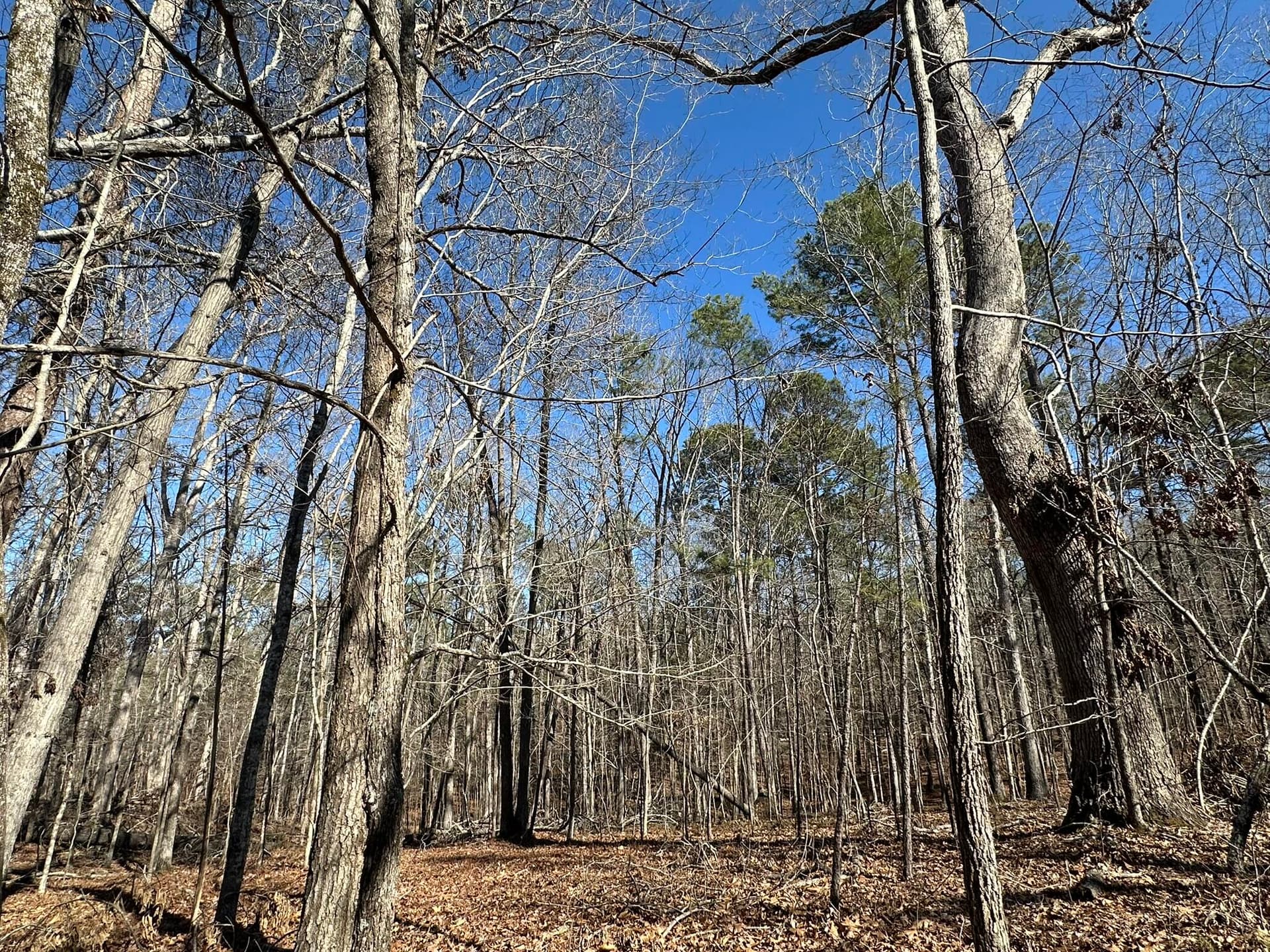 Residential Lot at 117 B35 L9 Cumberland Drive, McCormick, SC 29835, photo 3 of 14