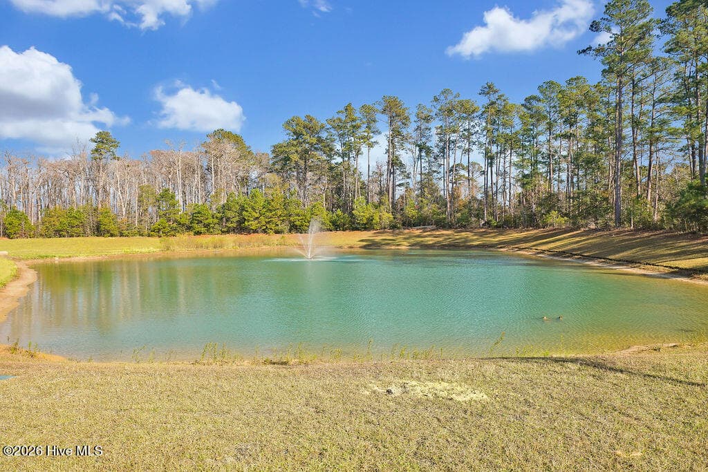 Single Family Residence at 3093 Golden Field Drive SE Lot 76, Bolivia, NC 28422, photo 26 of 47