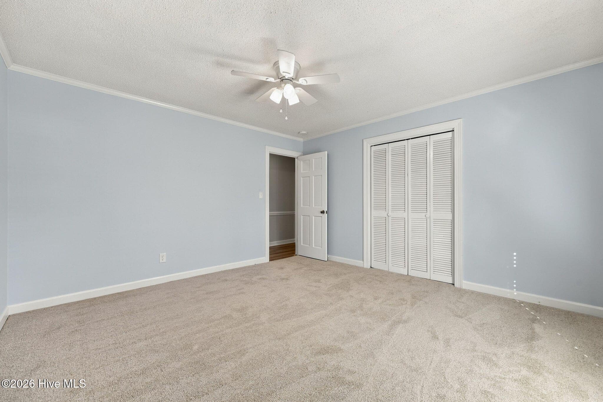 Bedroom 3 - 109 Hardee Street, Greenville, NC 27858