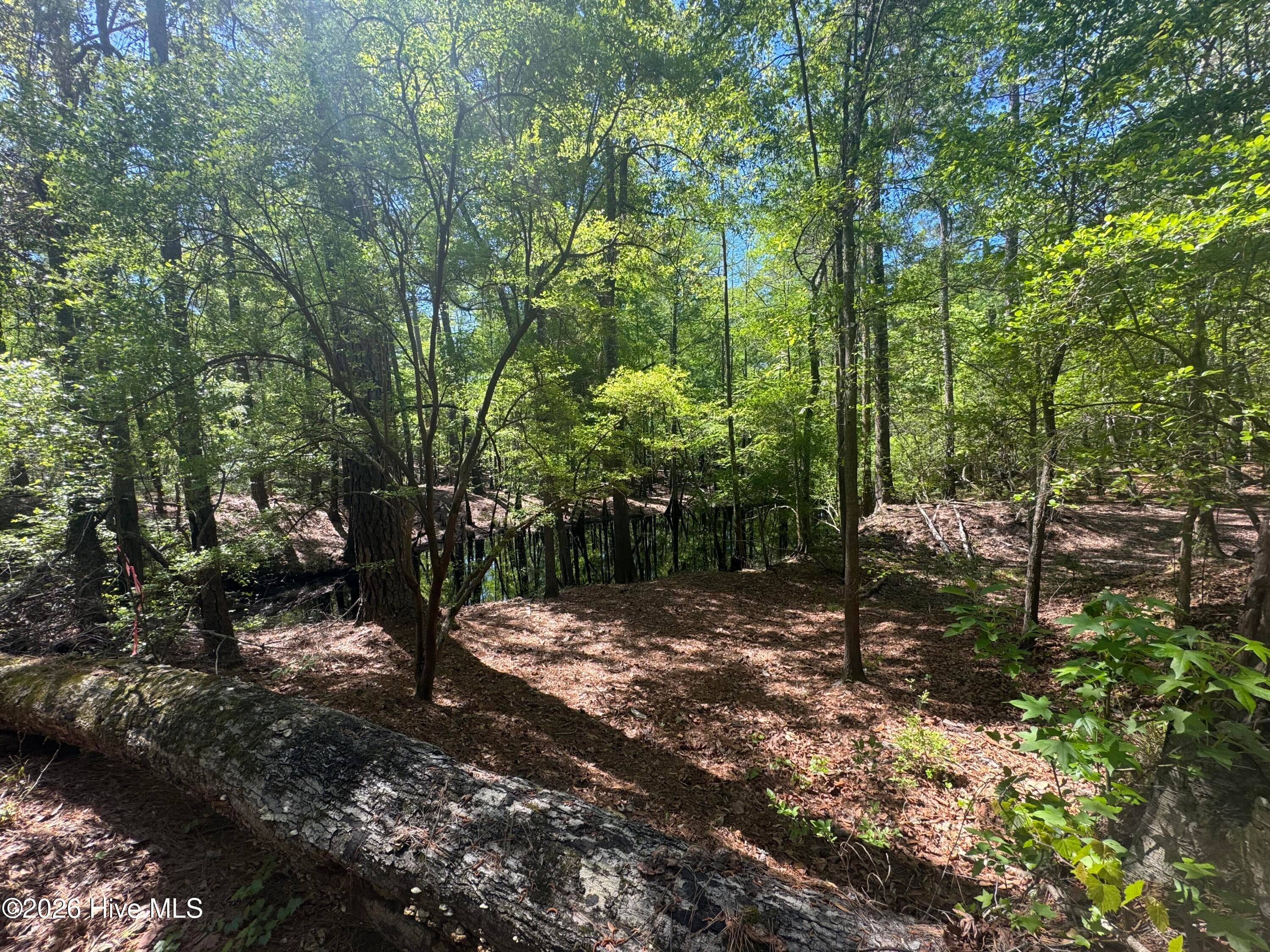 Undeveloped at 5, 6, 7 53 Off Highway, Atkinson, NC 28421, photo 7 of 12
