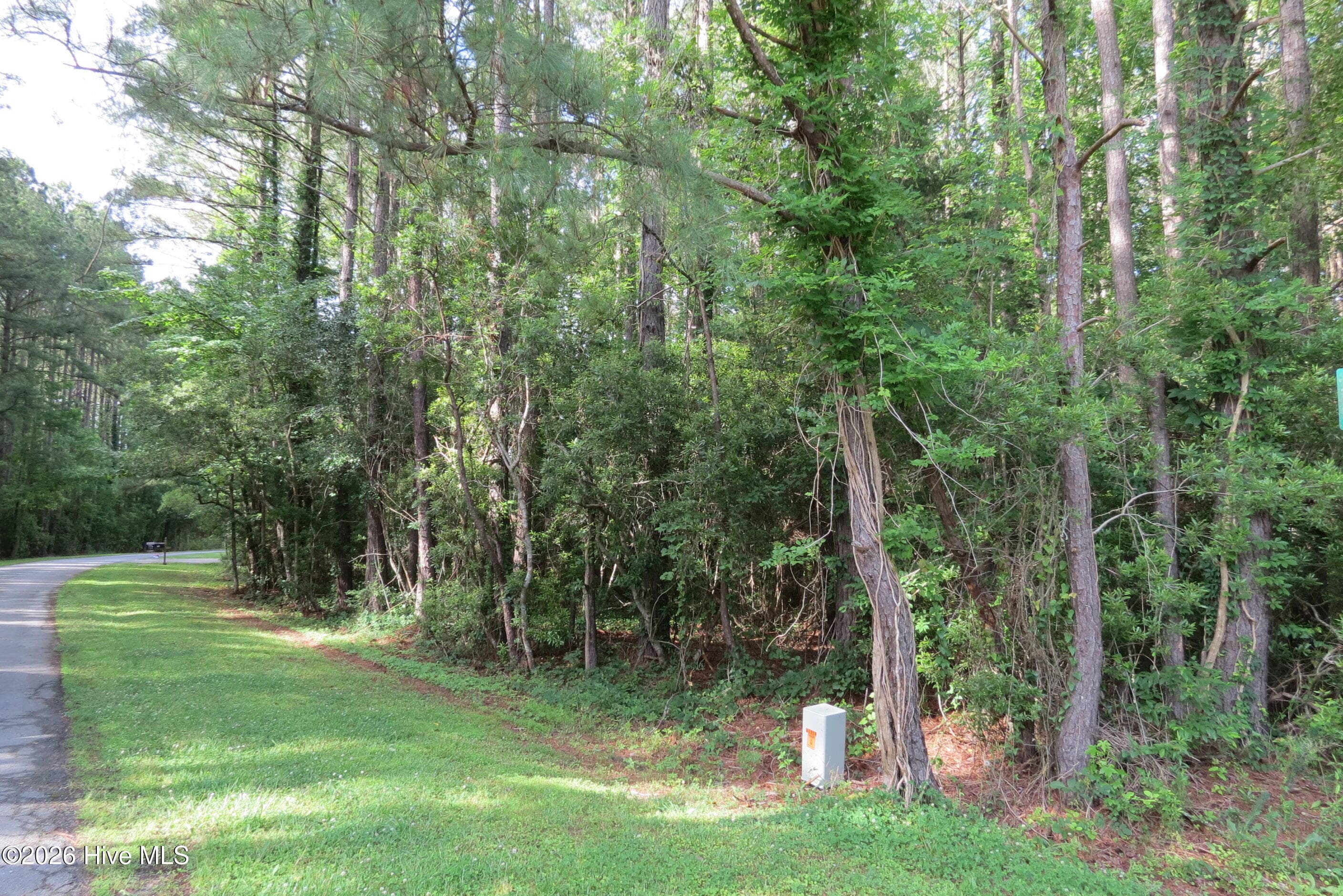 Residential Lot at 20 19 Teal Road, Merritt, NC 28556, photo 4 of 22