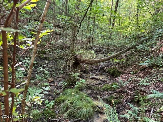 Residential Lot at 5 Tyler Lane, Marble, NC 28905, photo 20 of 28