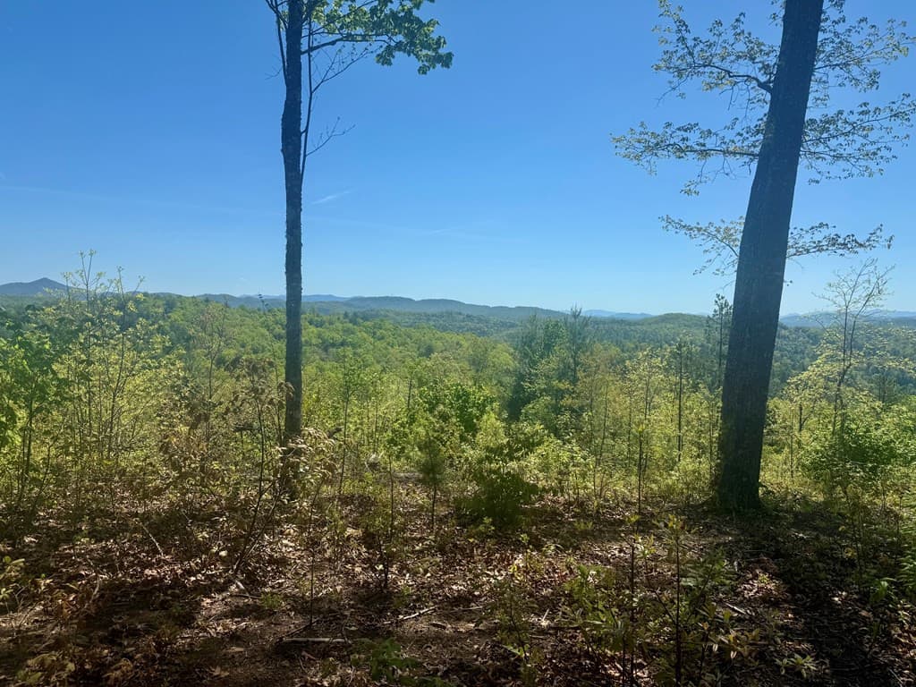 Residential Lot at 51 51 Wayah Ridge, Murphy, NC 28906, photo 3 of 6
