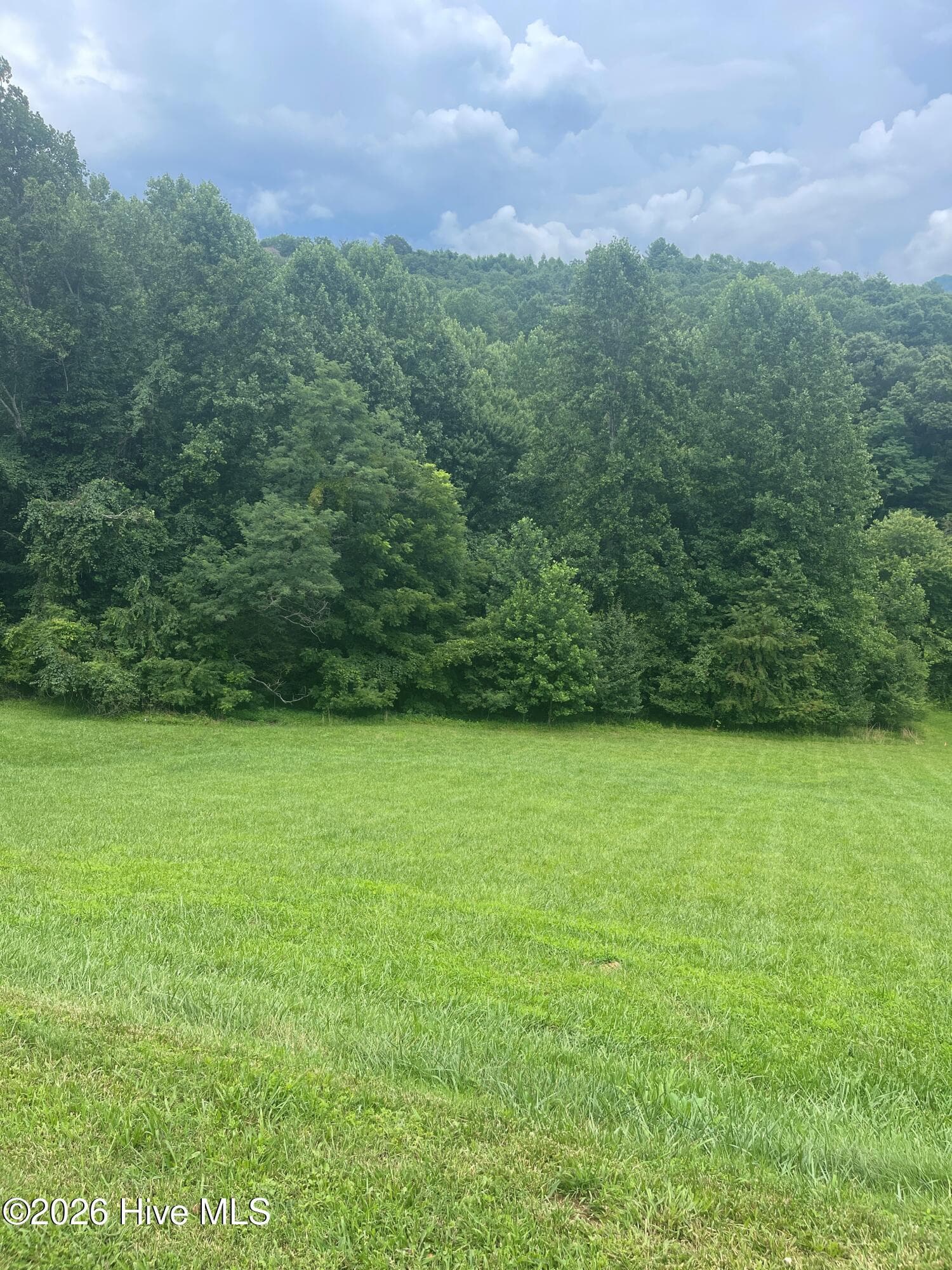 Lot 22c 22 Ash Branch Circle, Hayesville, NC 28904