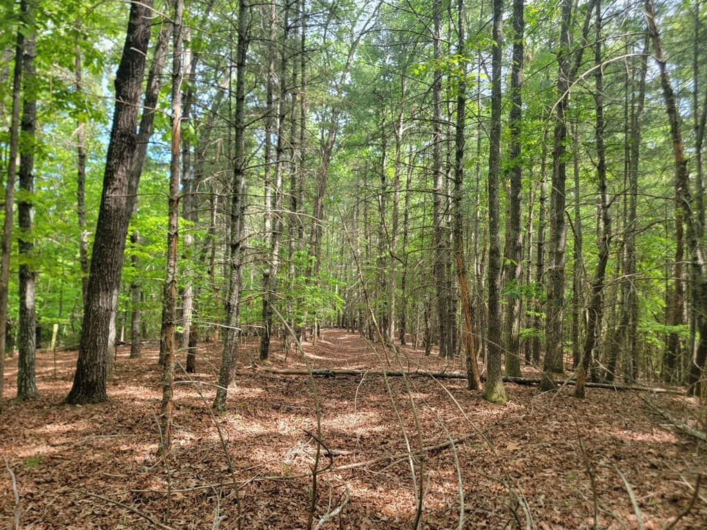 44 Sugar Maple Road, Murphy, NC 28906