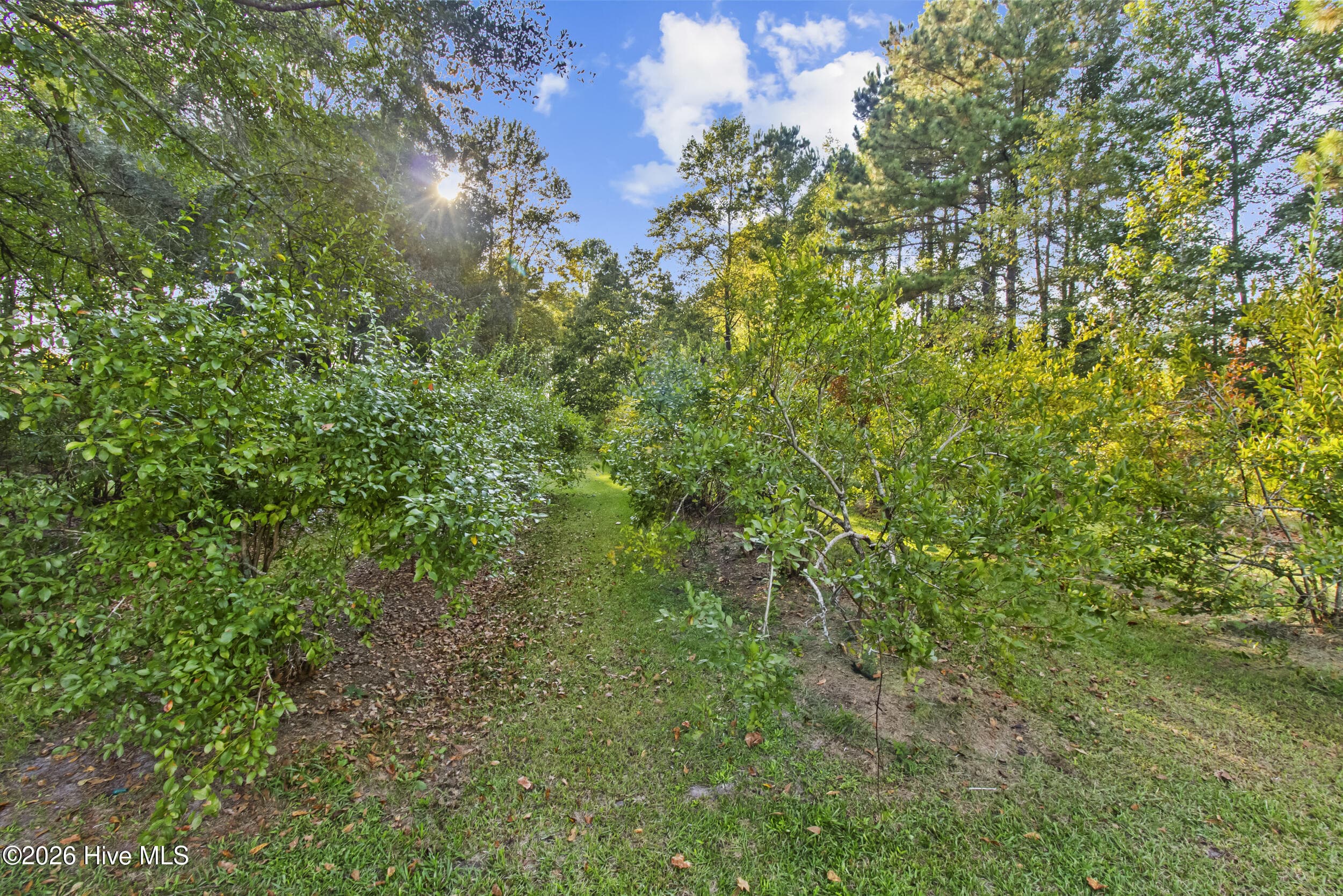 Single Family Residence at 6500 Maggie Hart Lane, Grifton, NC 28530, photo 46 of 66