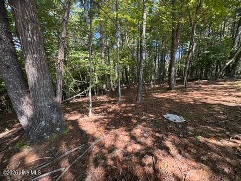 Residential Lot at Lot 1 1 Laurelwood Circle, Murphy, NC 28906, photo 11 of 24