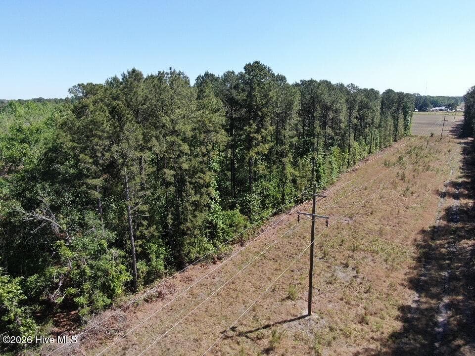 Wooded at 20.51 Acre Sweat Drive, Bladenboro, NC 28320, photo 10 of 16