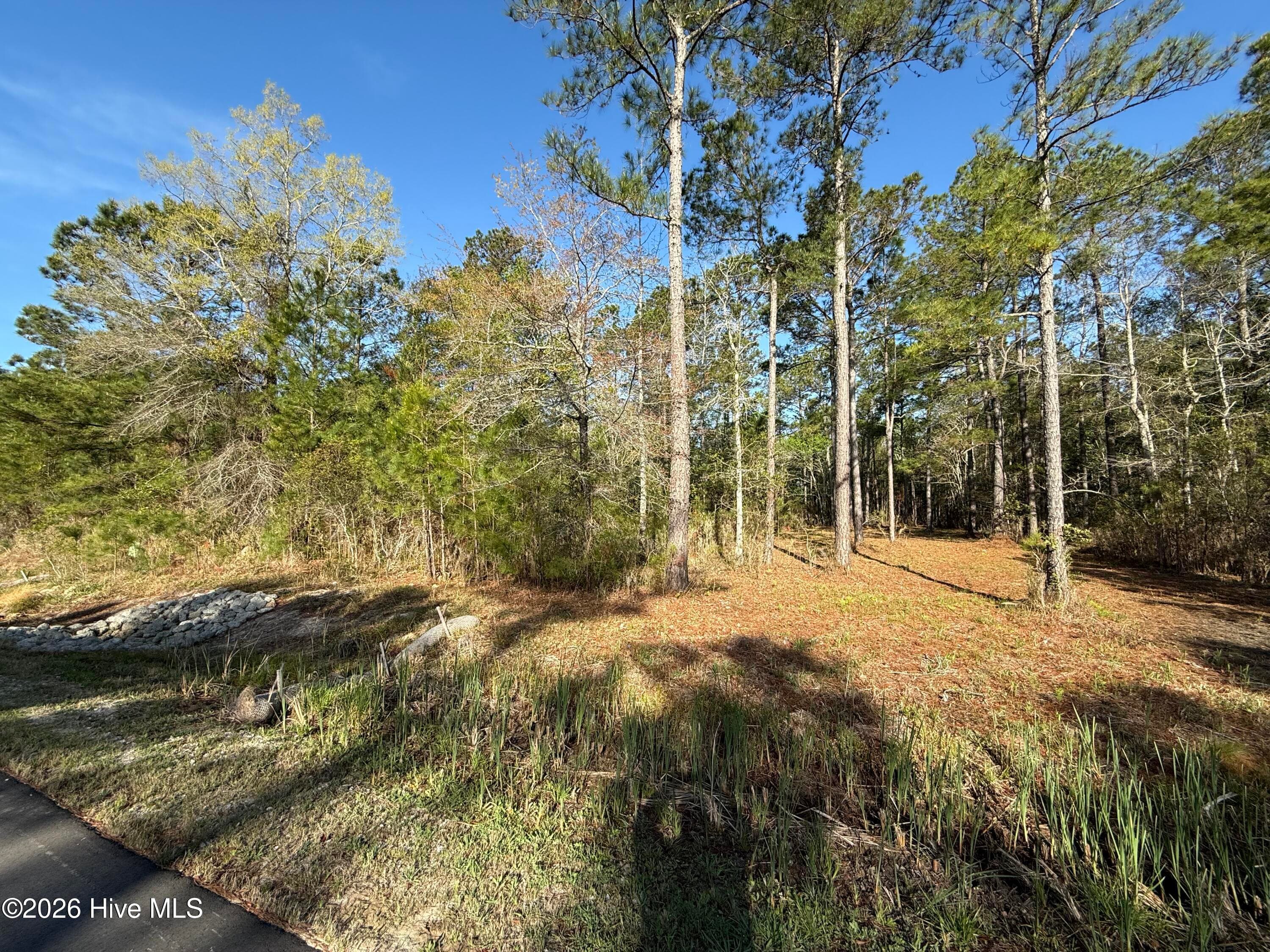 Residential Land at 125 14 Shell Castle Lane, Vandemere, NC 28587, photo 2 of 7