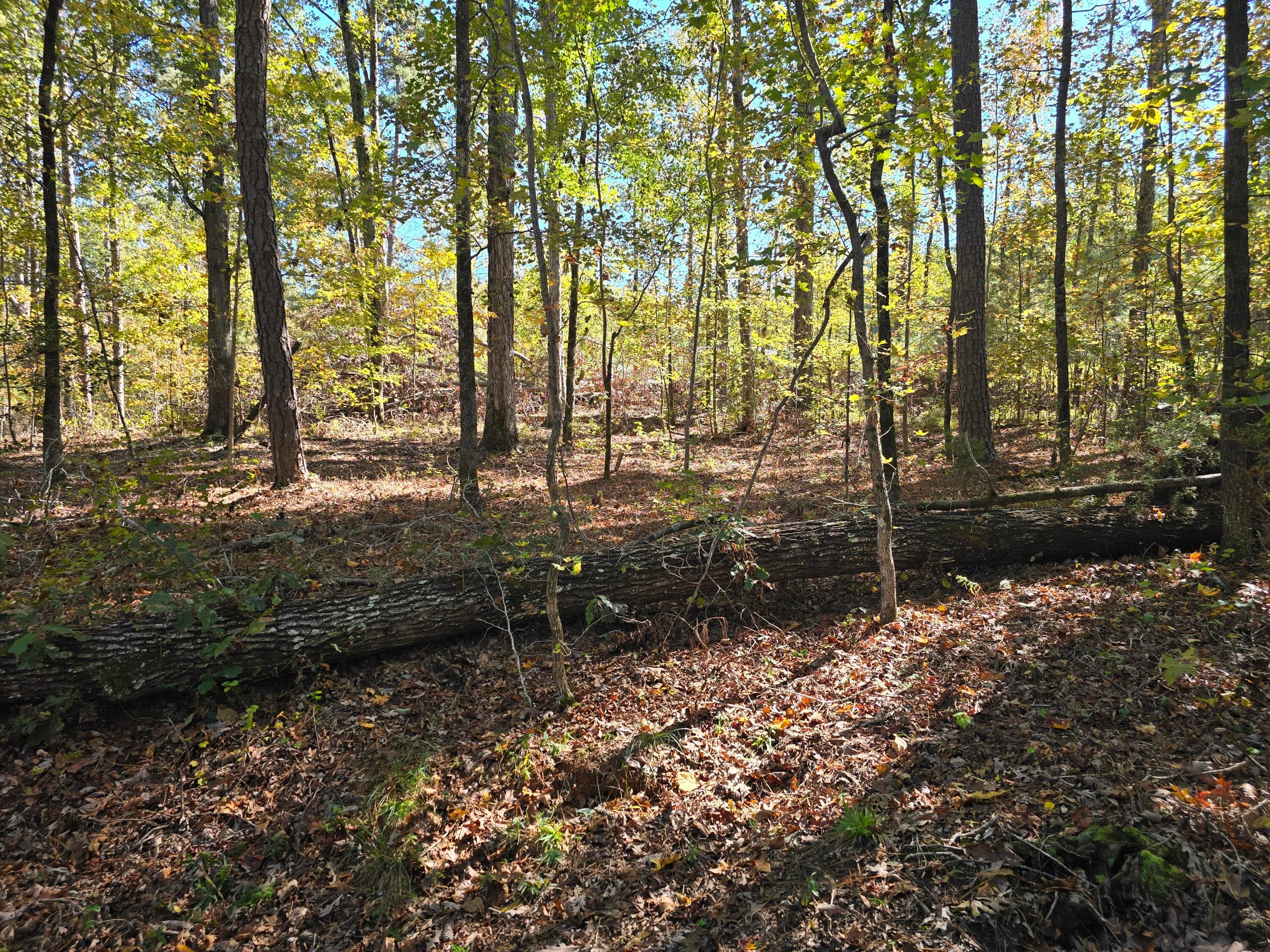 Mixed Use at 7501 Rainey Morris Road, Appling, GA 30802, photo 40 of 47