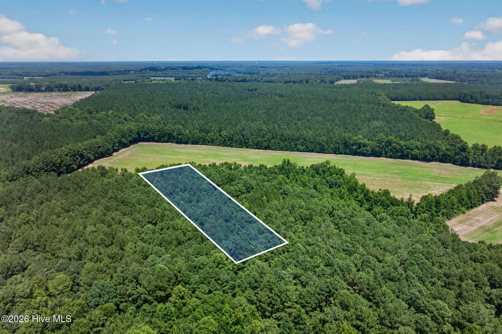 Wooded at 1 Acre Off 2 Laura Hill Drive, Clarkton, NC 28433, photo 8 of 10