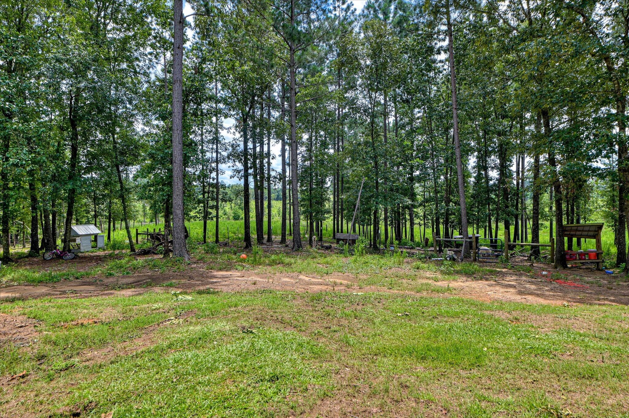 Single Family Residence at 196 Brodie Hall Road, Wagener, SC 29164, photo 36 of 42