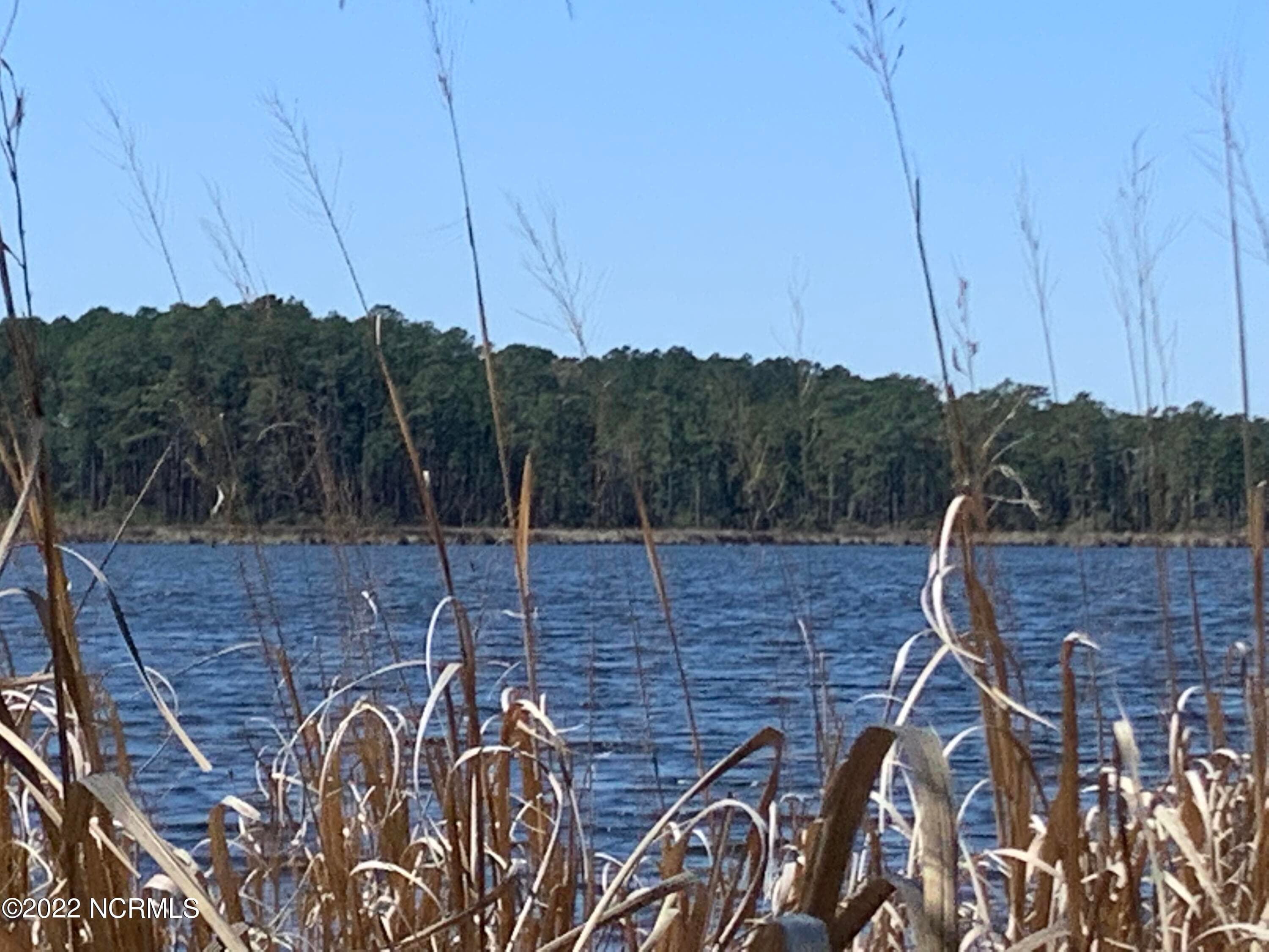 Bring the boat. - Lot 24 24 Bailey Pointe S/D Drive, Belhaven, NC 27810