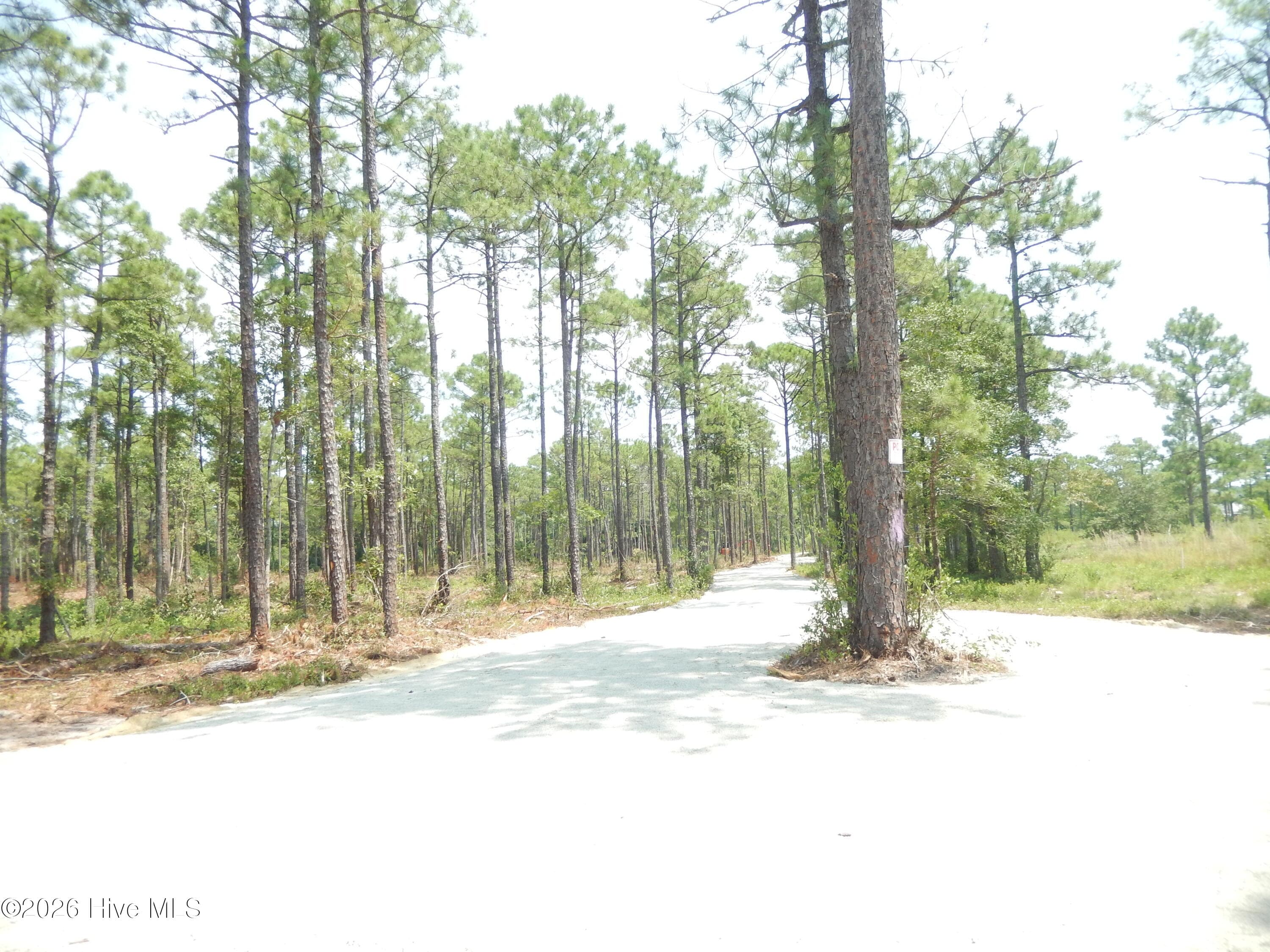 Undeveloped at 372 Greenview Ranches, Wilmington, NC 28411, photo 14 of 61