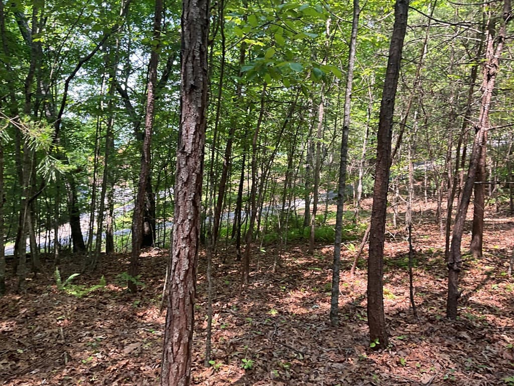 Land at 5 Birds View Lane, Murphy, NC 28906, photo 15 of 17