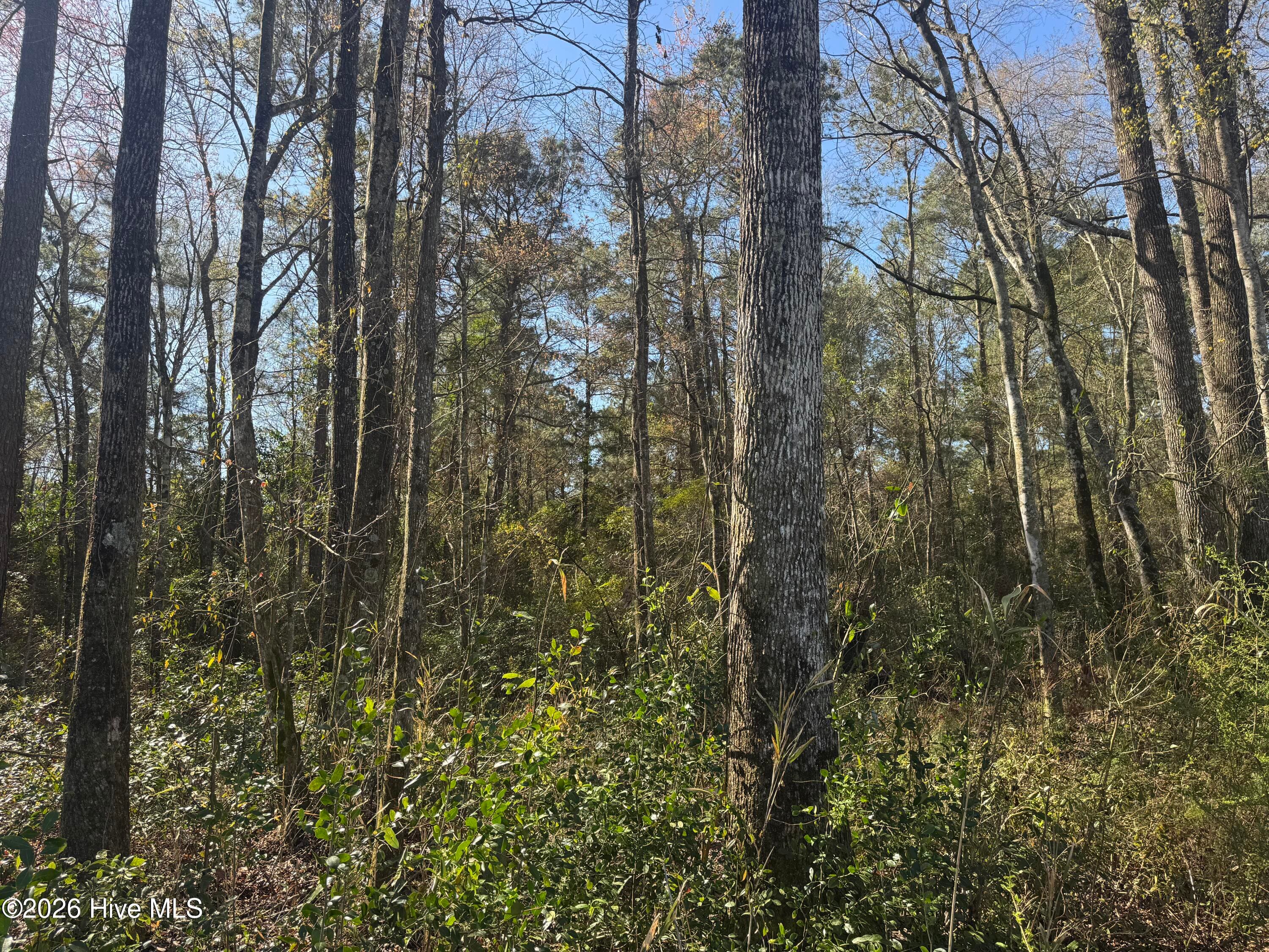 Mixed Use at 0 4 and 5 NW Little Prong Rd NW, Ash, NC 28420, photo 5 of 6