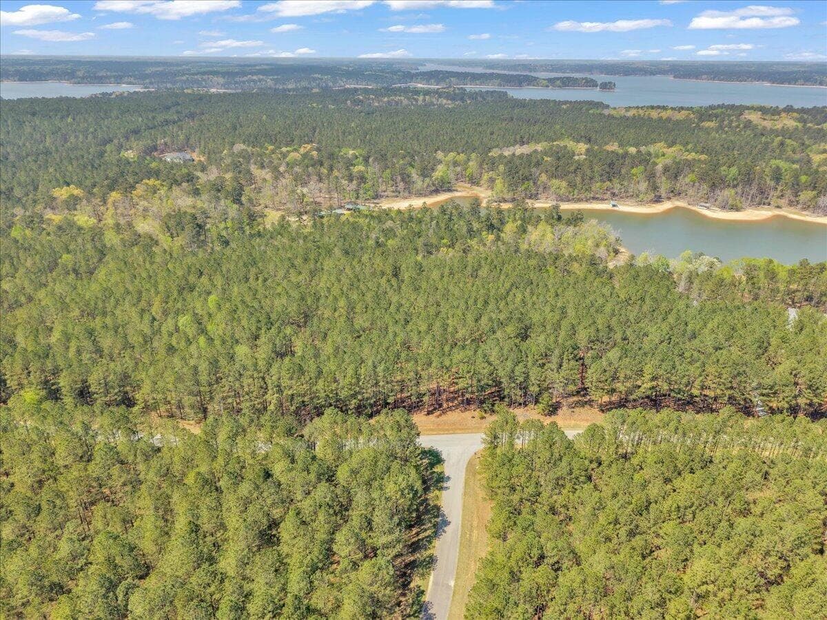 Residential Lot at Lot 65 65 Maiden Cane Way, Lincolnton, GA 30817, photo 36 of 59