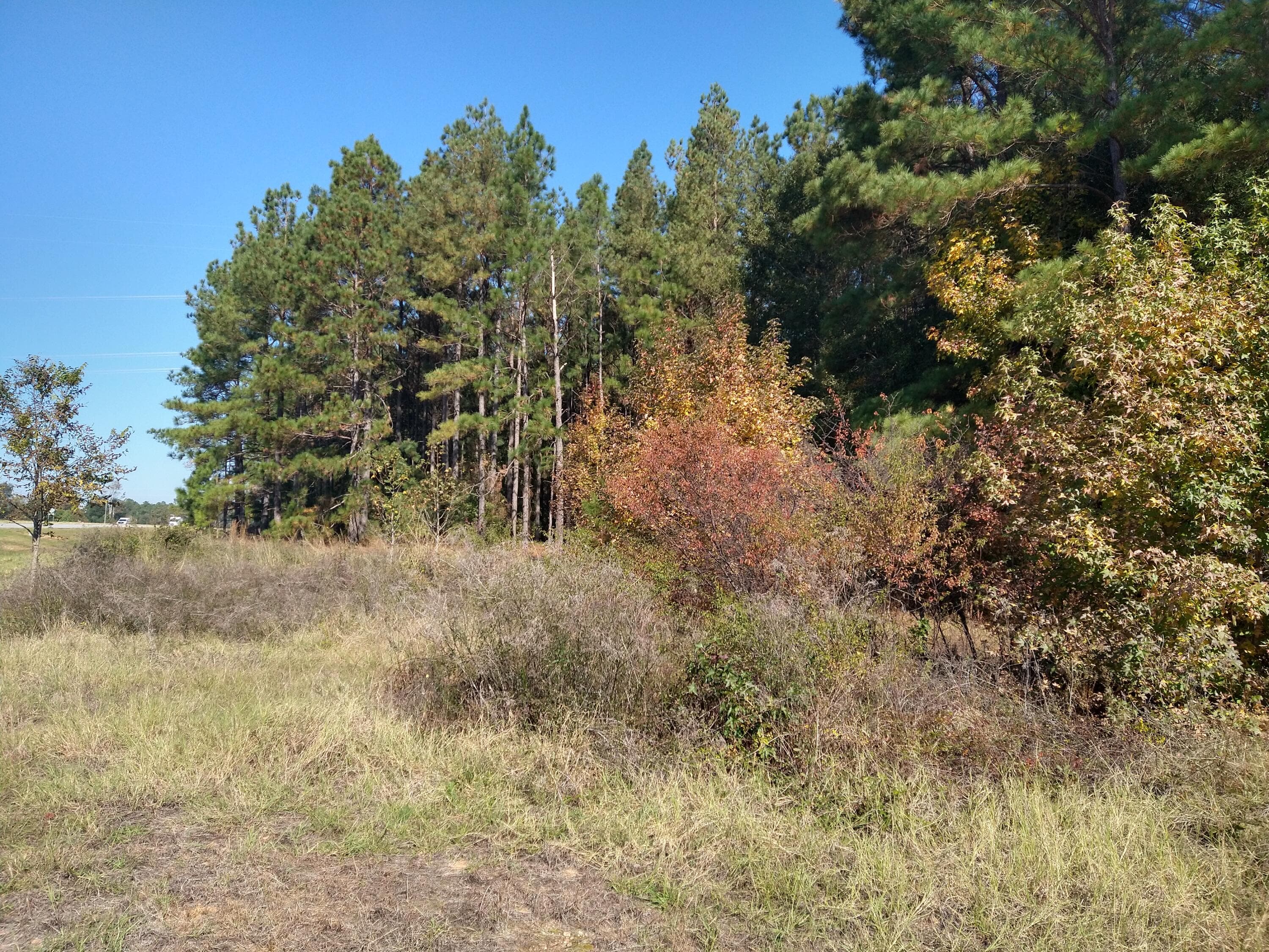 Unimproved Land at 0 Gresham Road, Keysville, GA 30816, photo 4 of 6