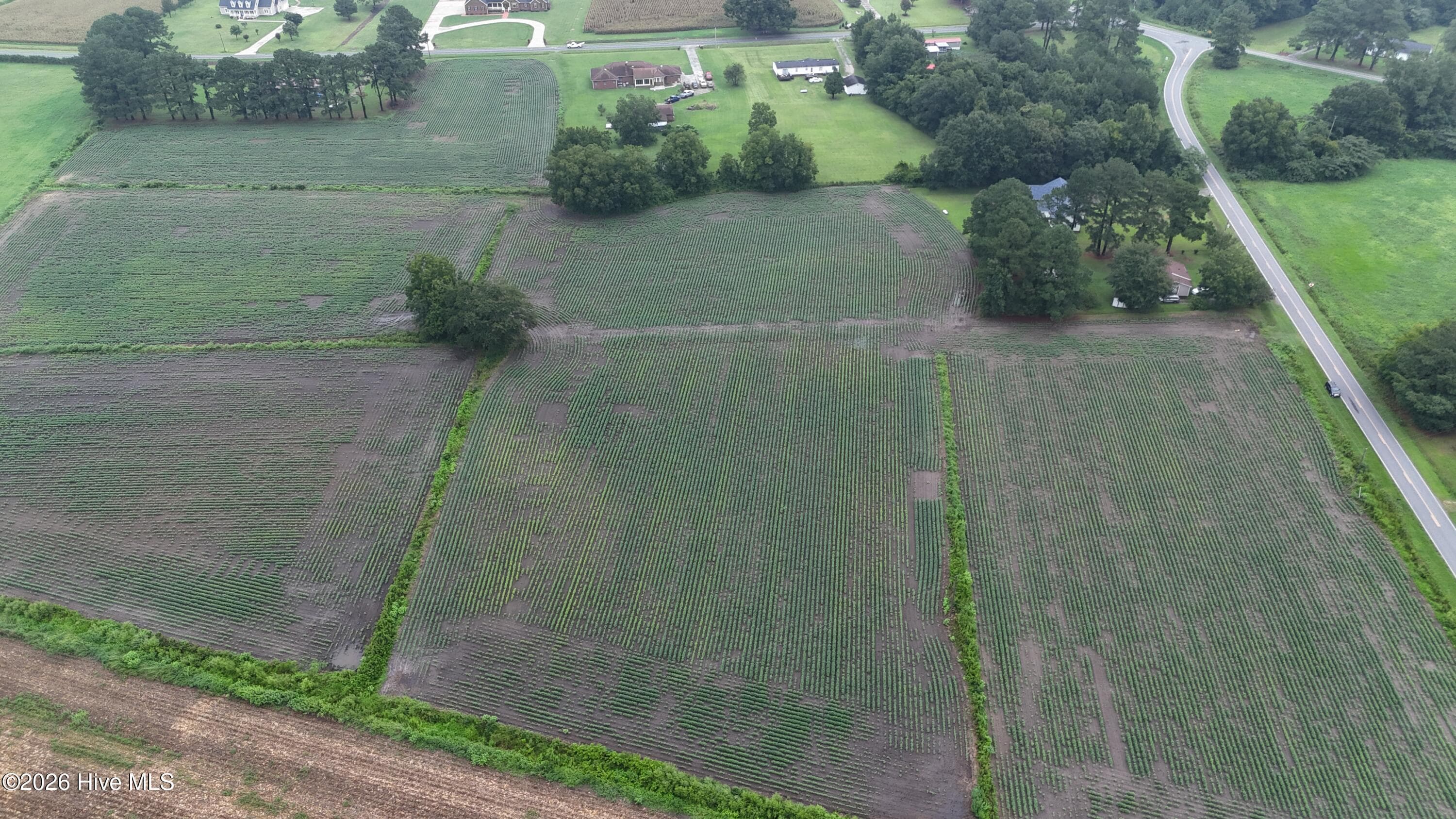 Agriculture at Near 128 Bay Rd., Rose Hill, NC 28458, photo 2 of 21