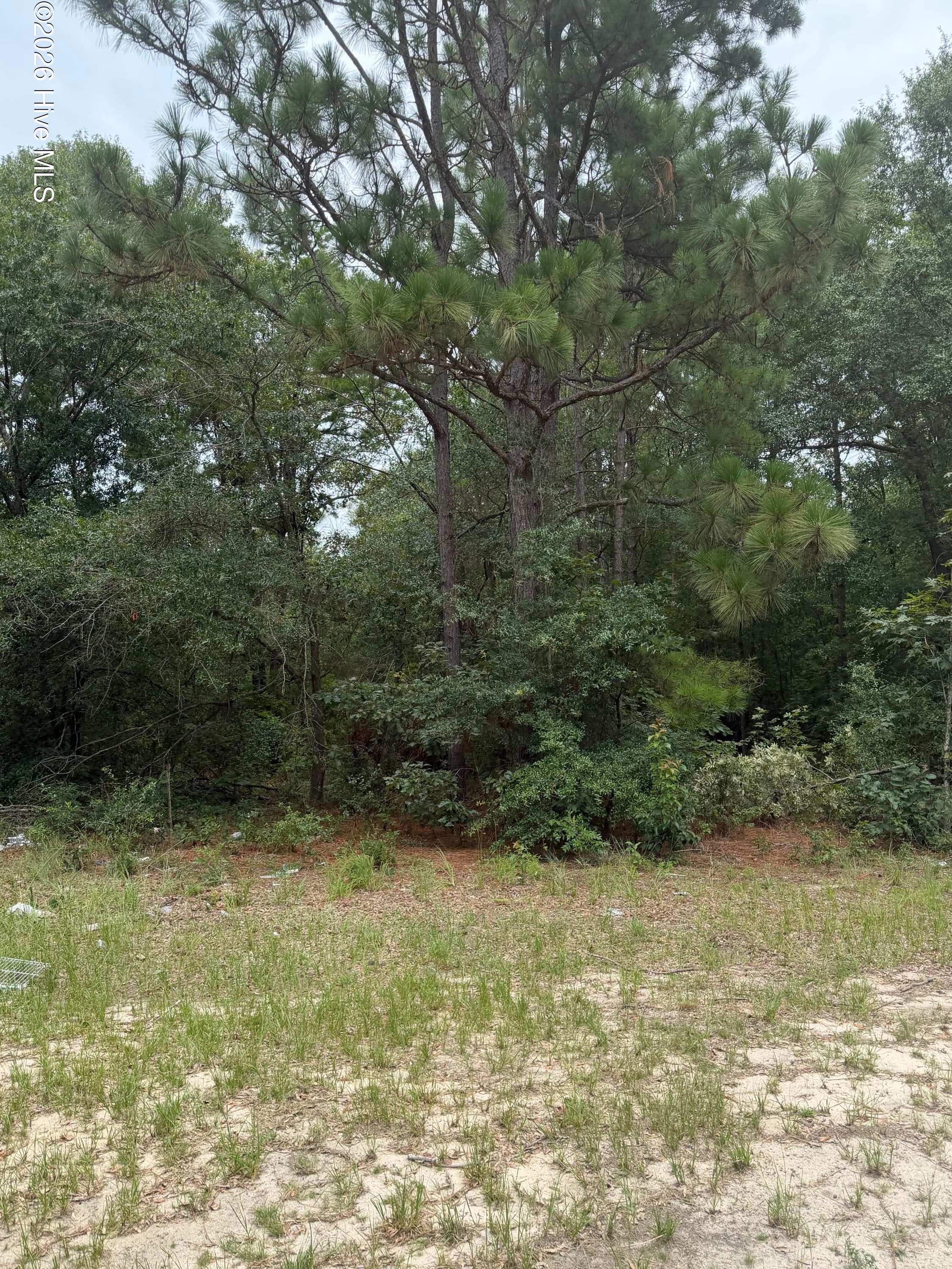 406 Douglas Drive, Beech Island, SC 29842