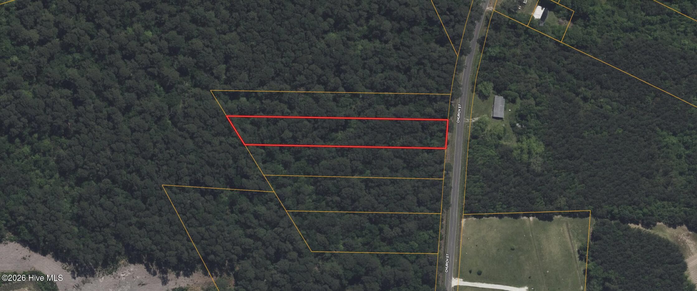 Undeveloped at 3 Church Street, Willard, NC 28478, photo 3 of 7