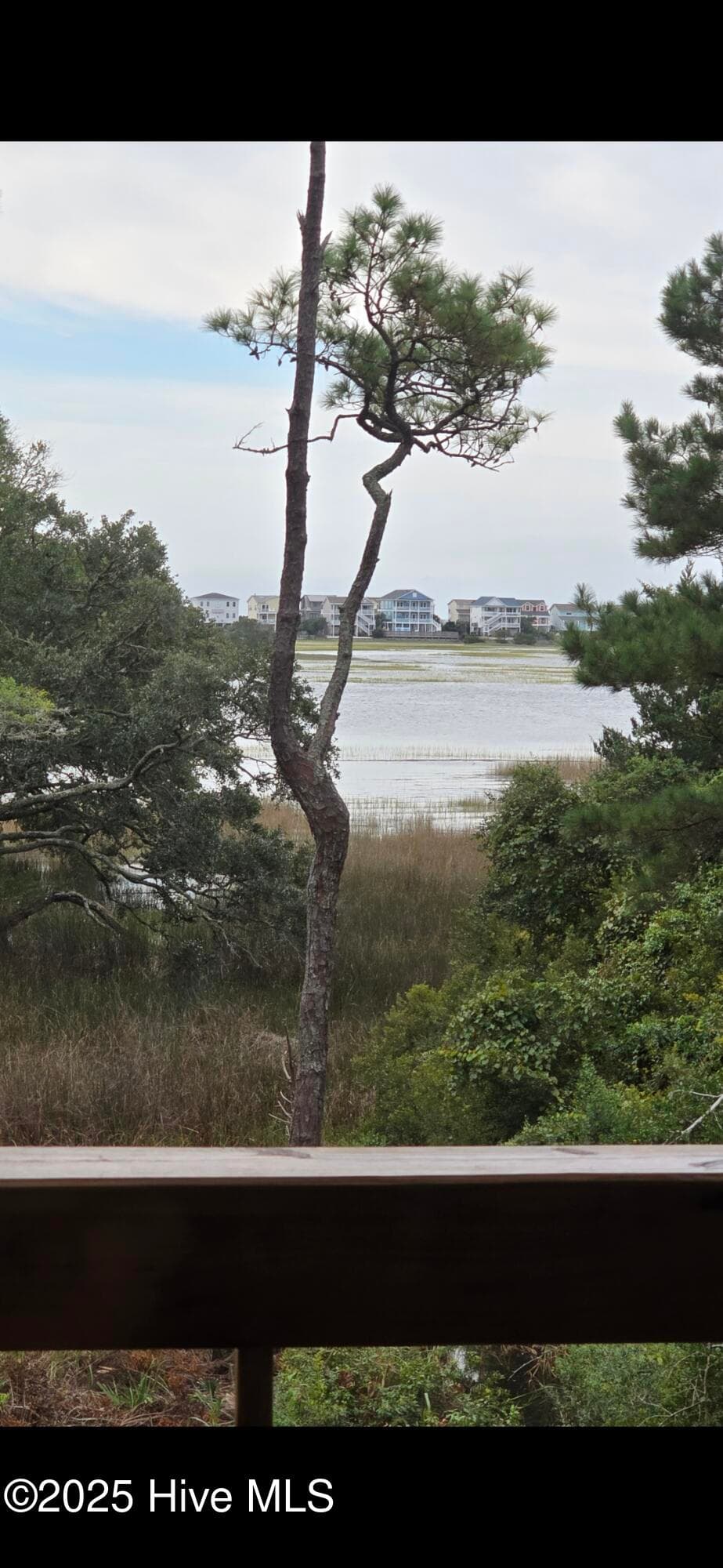 Single Family Residence at 2659 Seashore Road SW, Supply, NC 28462, photo 5 of 9