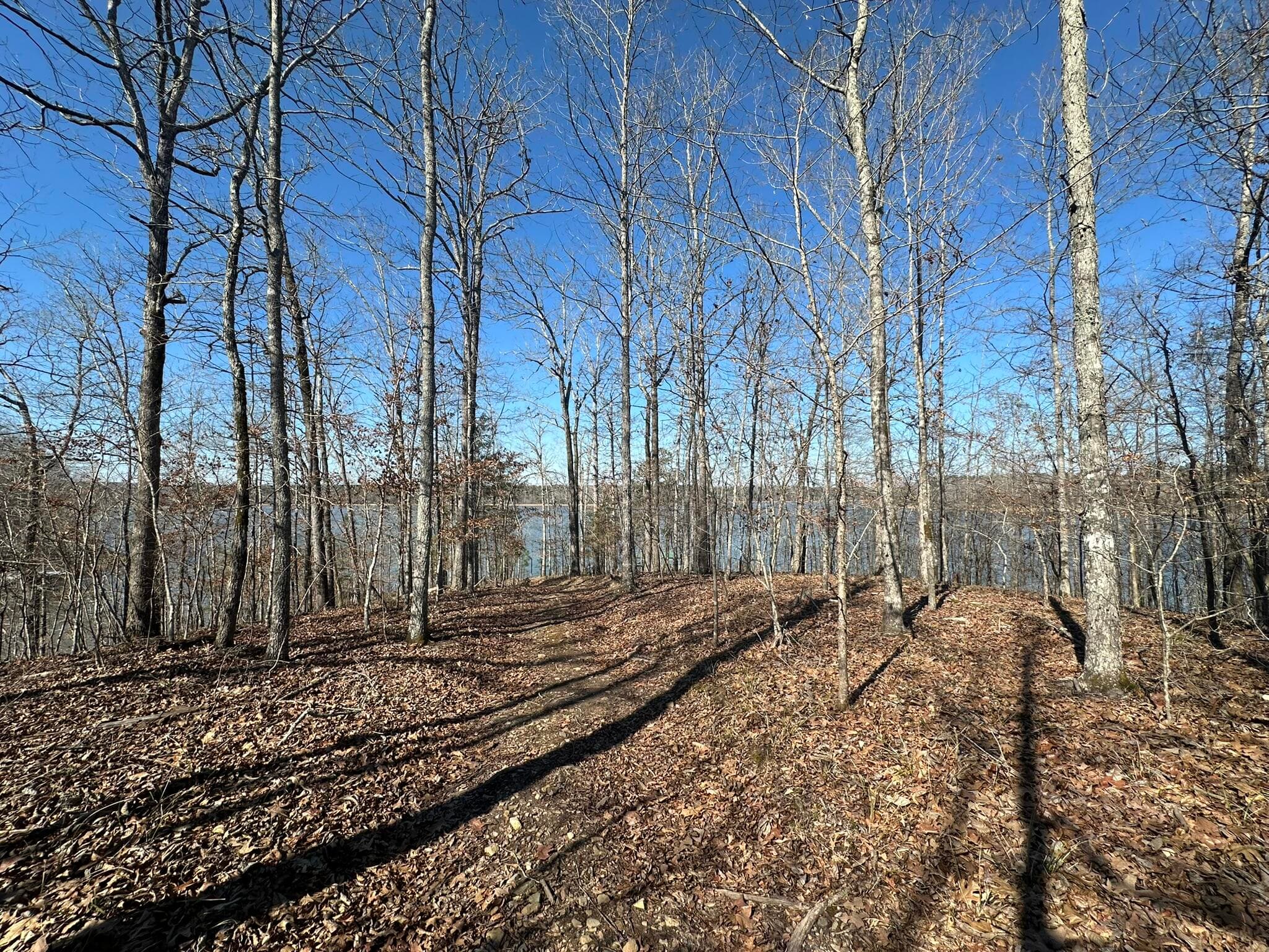 Residential Lot at Lot 31 31 Willow Way, Lincolnton, GA 30817, photo 14 of 24