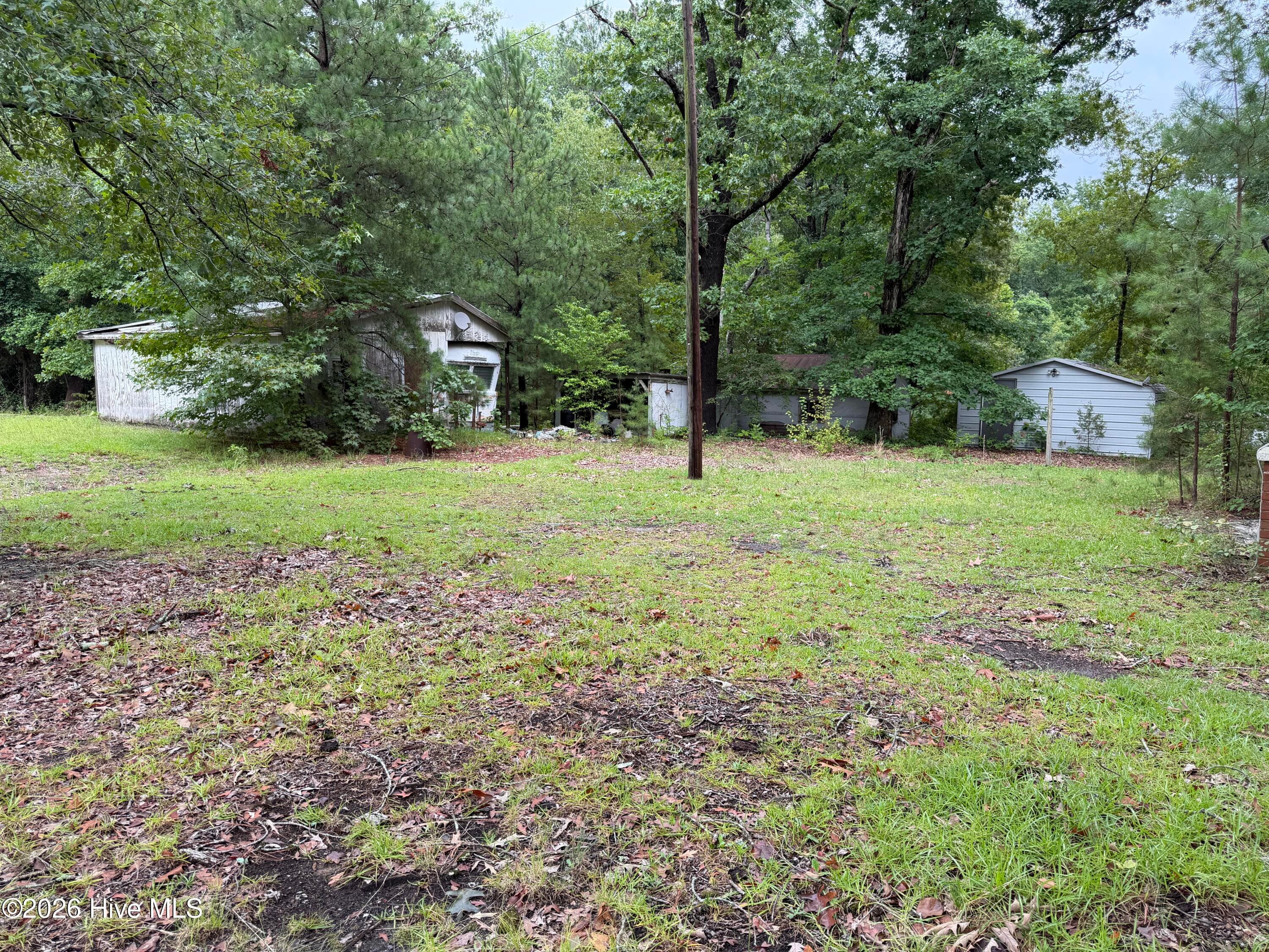 Single Family Residence at 235 Bryant Road, Carthage, NC 28327, photo 3 of 12
