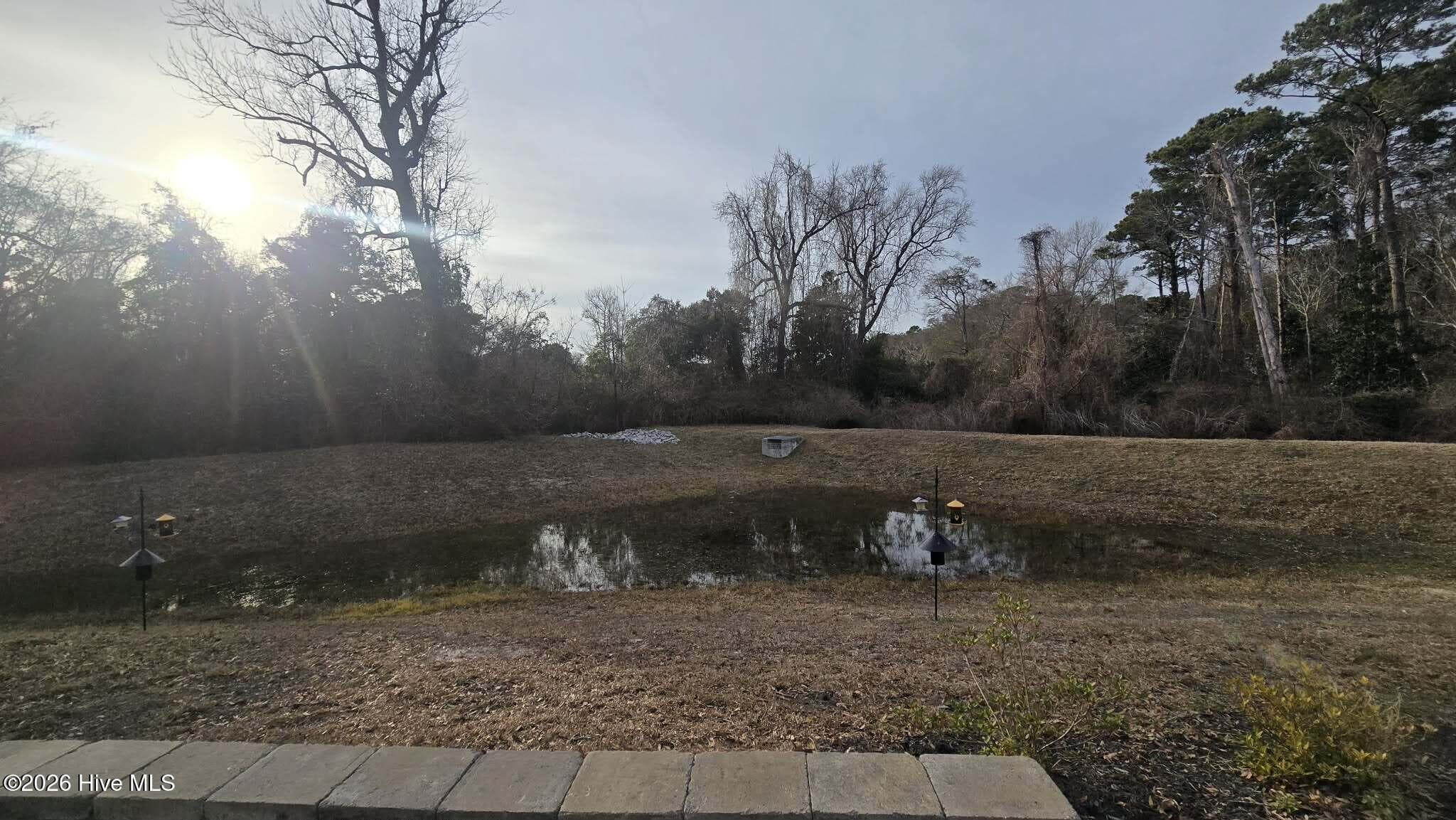 Enjoy nature overlooking the pond and natural treeline - 1425 Eco Circle, Wilmington, NC 28409