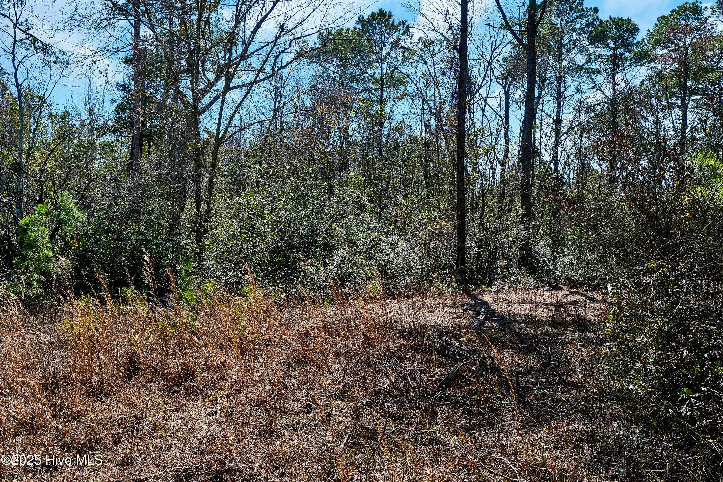 Residential Lot at L4 Brown Heritage Road, Maple Hill, NC 28454, photo 14 of 15
