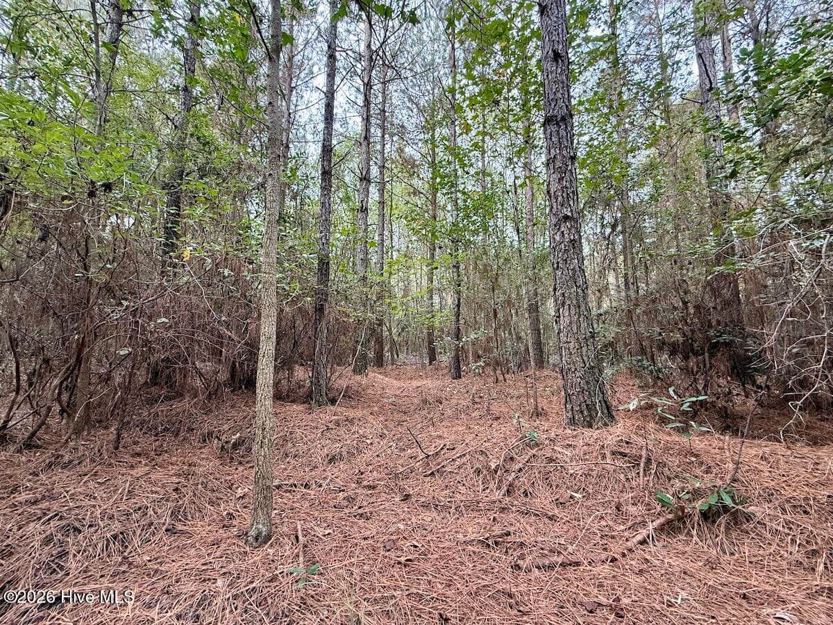 Recreation at 00 Hwy 258 S, Deep Run, NC 28525, Deep Run, photo 23 of 39