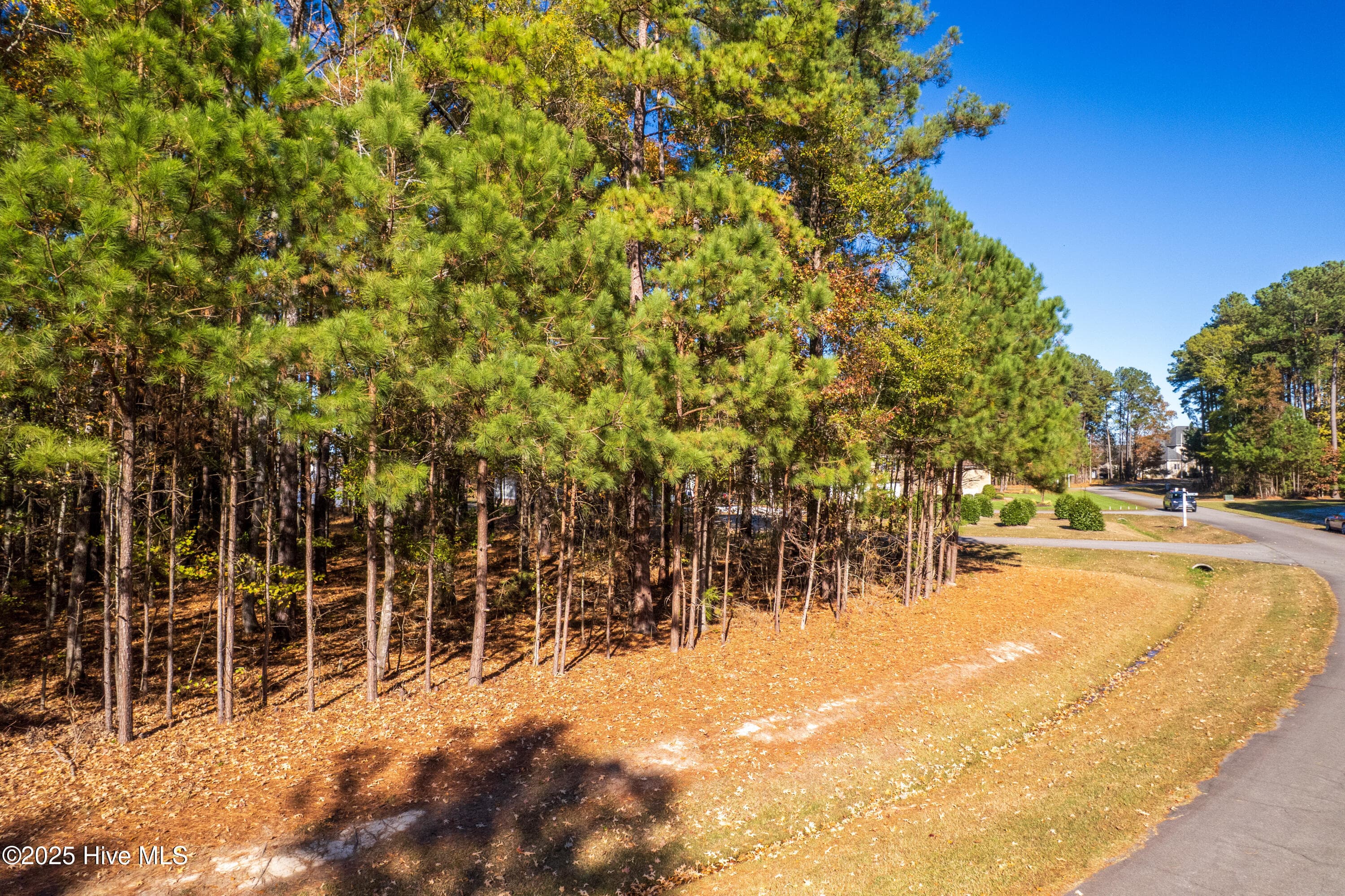 Wooded at 65 JJ65 Standard Bred Way, Hertford, NC 27944, photo 3 of 8