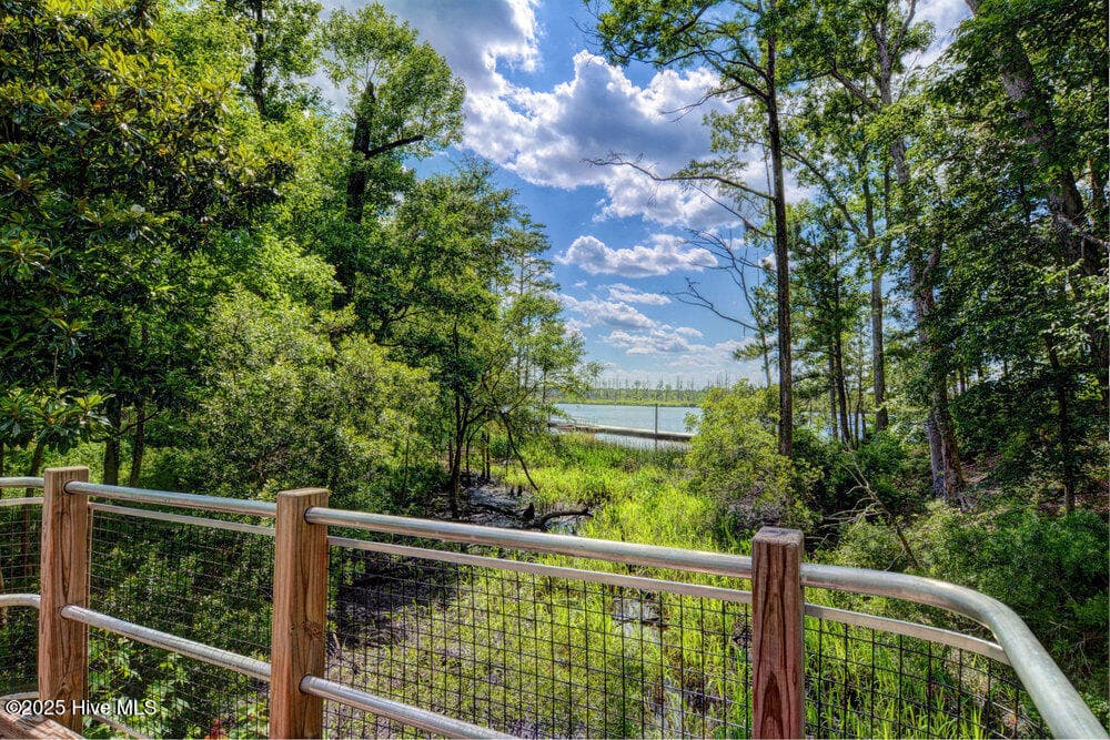 walking trail - 3623 White Cliffs Drive, Castle Hayne, NC 28429