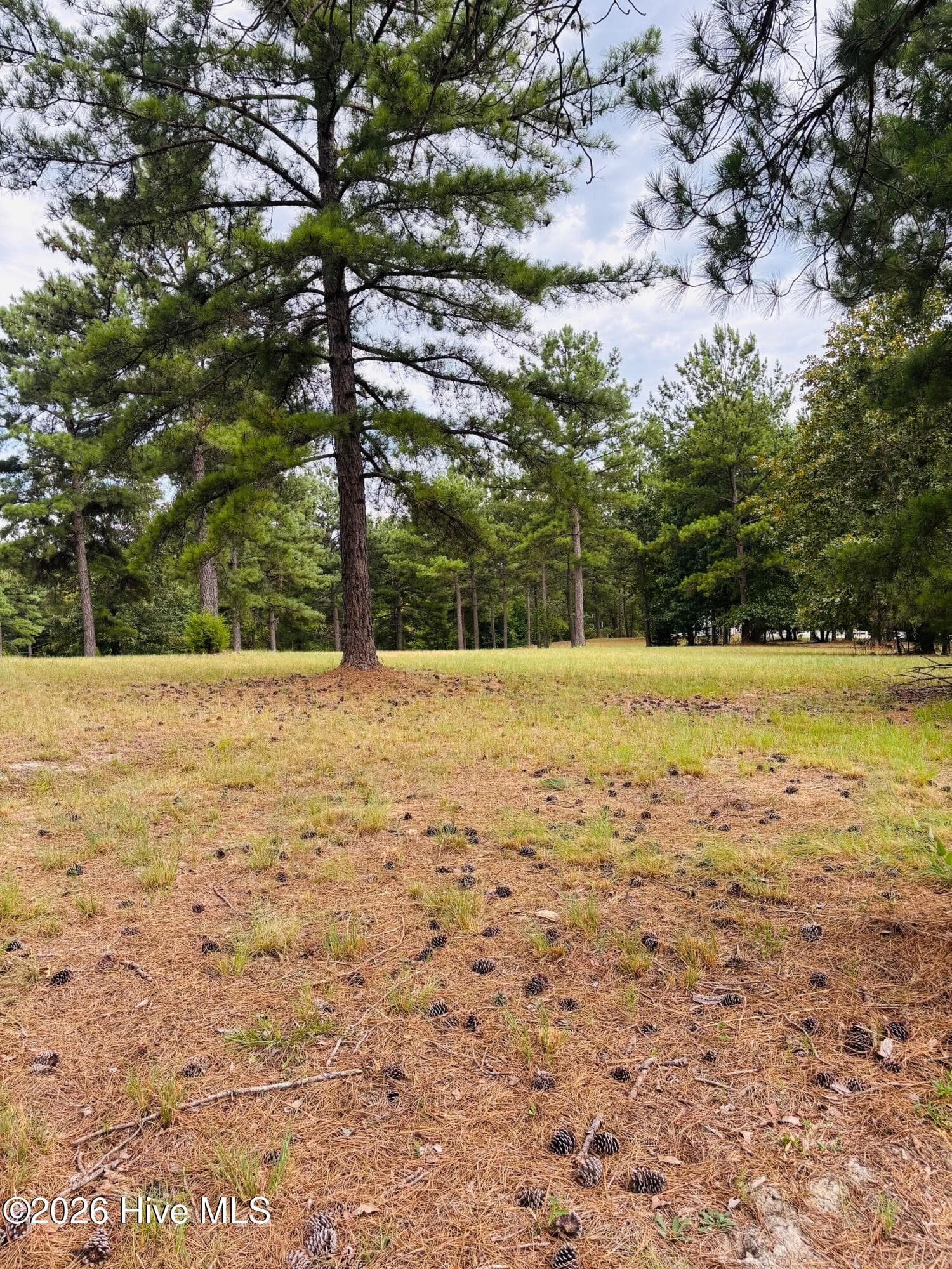 Residential Lot at 740 338 Broken Ridge Trail, West End, NC 27376, photo 4 of 4