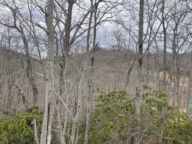 Wooded at 41 41 Mystic Ridge Way W, Topton, NC 28781, photo 3 of 7