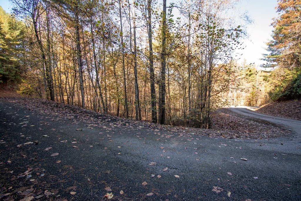 Wooded at Lt 66 66 Choctaw Ridge Trail, Murphy, NC 28906, photo 9 of 10