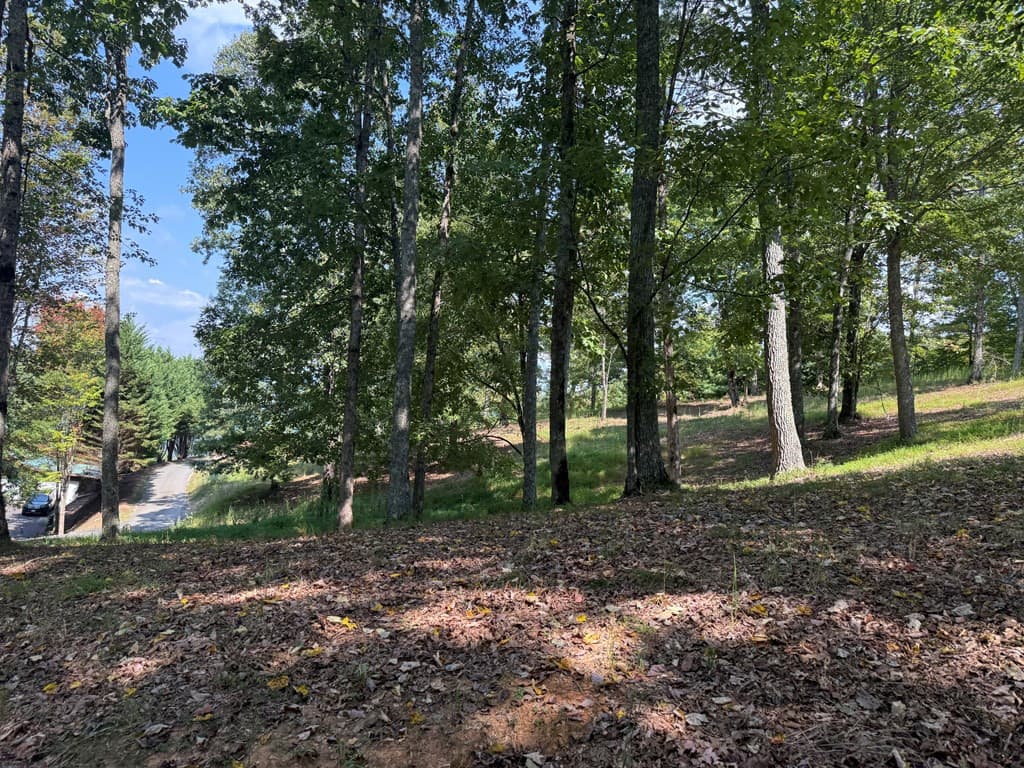 Residential Lot at 123 Madison Lane, Murphy, NC 28906, photo 5 of 10