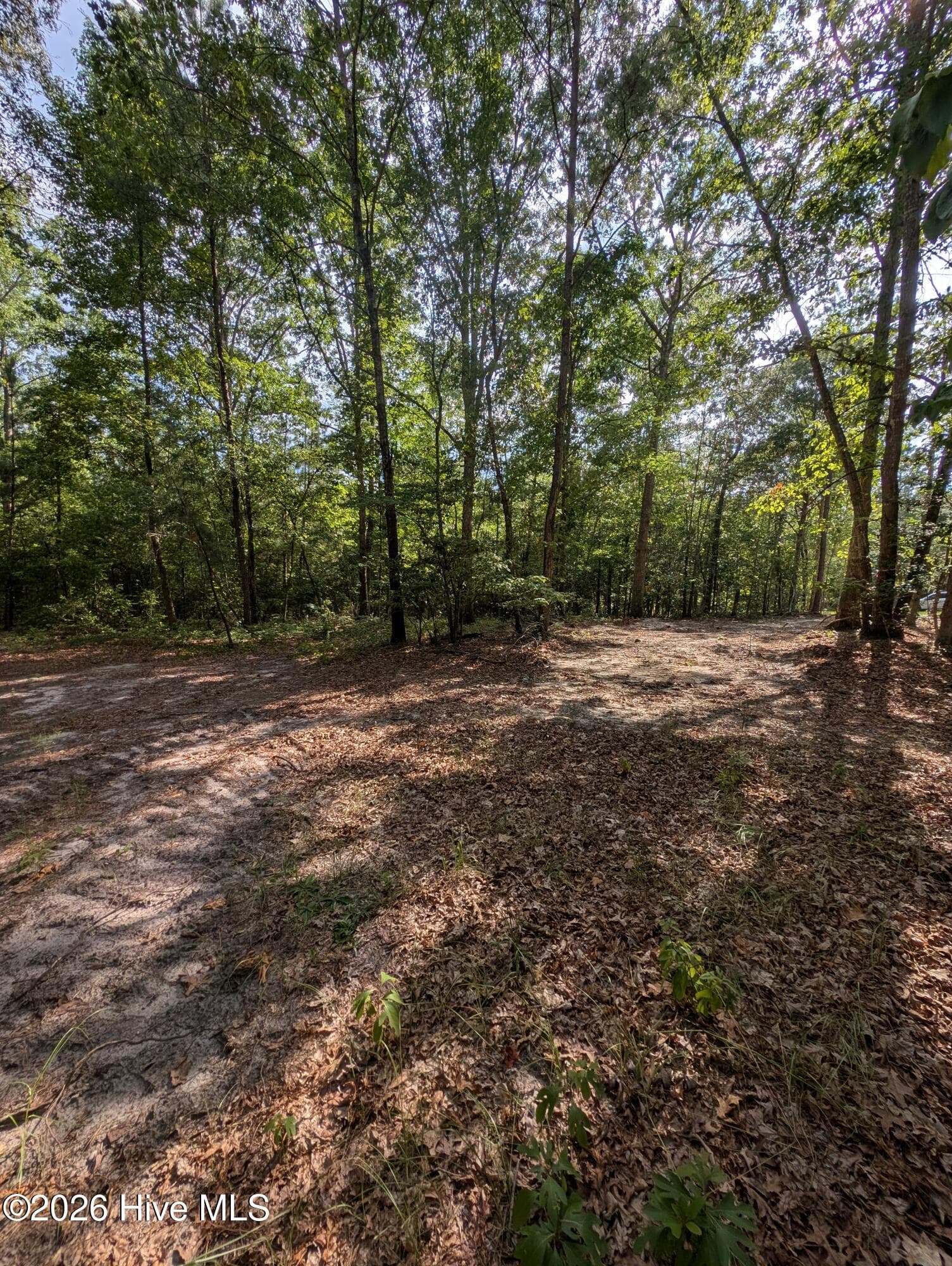 Tbd 2R-2 Peyton Drive, Eagle Springs, NC 27242