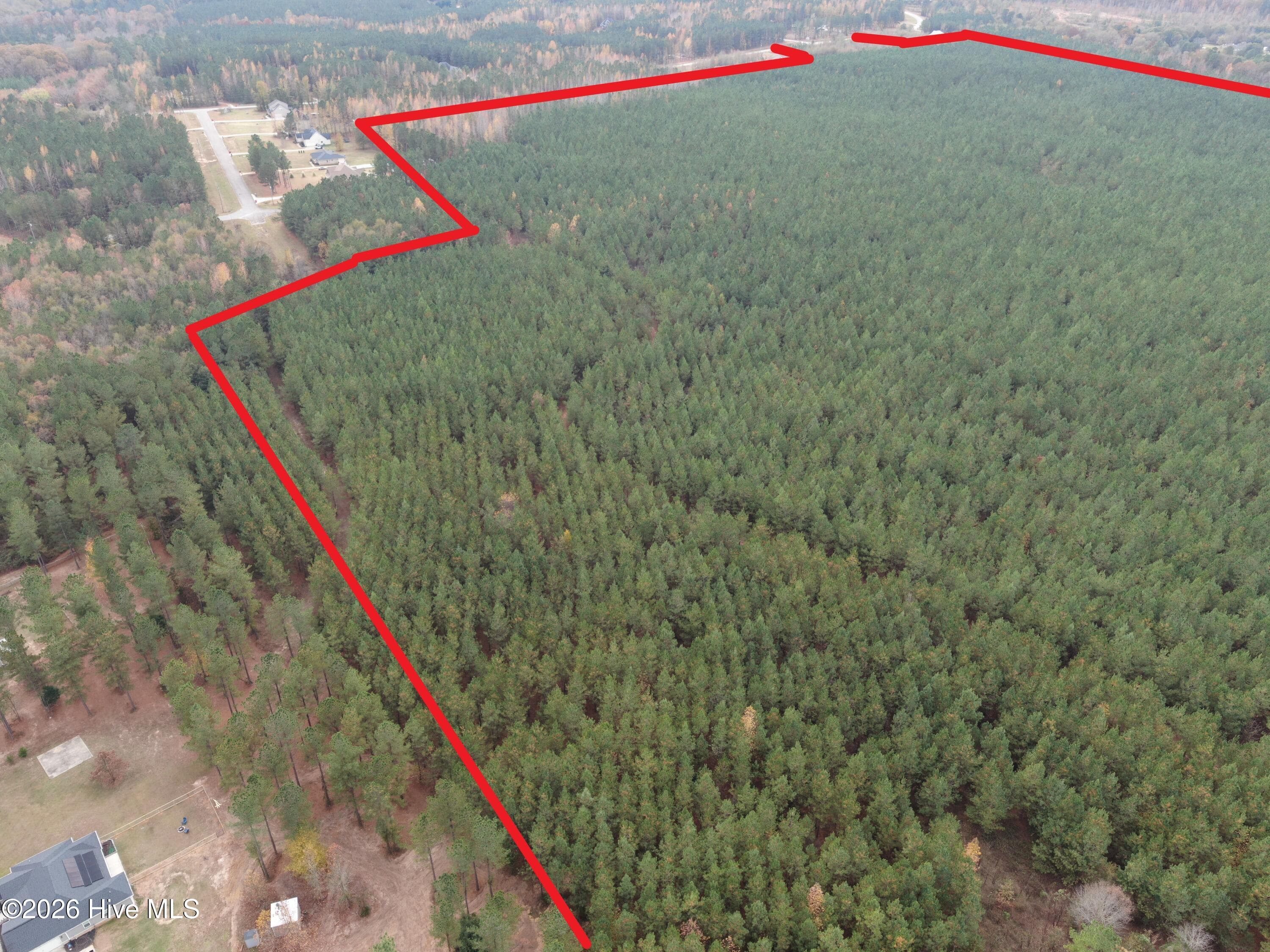 Undeveloped at 1447 Greiner Circle, Hephzibah, GA 30815, photo 3 of 10