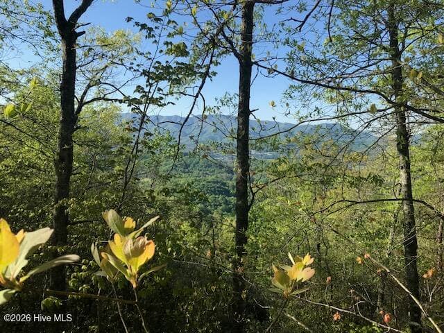501a 26 Cliff Top Trail, Andrews, NC 28901