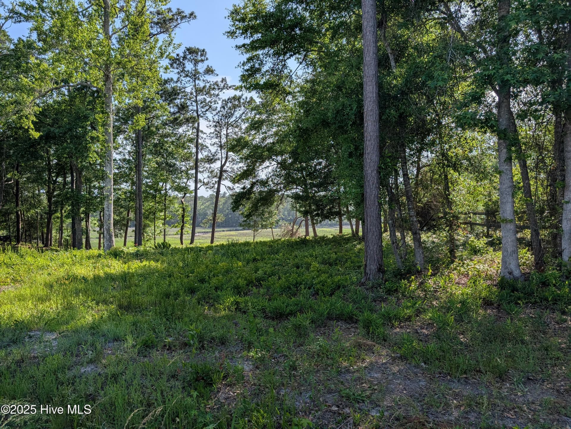 Wooded at 1709 Star Cross Drive SW, Shallotte, NC 28470