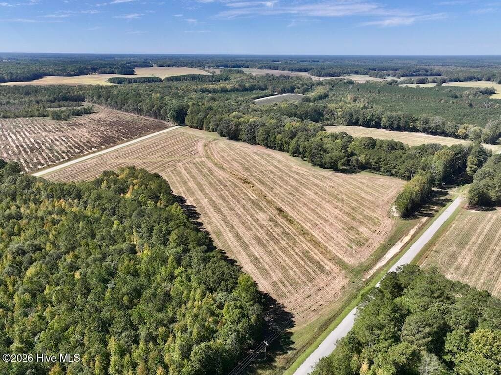 Mixed Use at 0 Spring Hill Road, Scotland Neck, NC 27874, photo 17 of 93