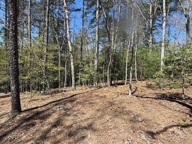 Lot 2 2 Lynae Lane, Murphy, NC 28906
