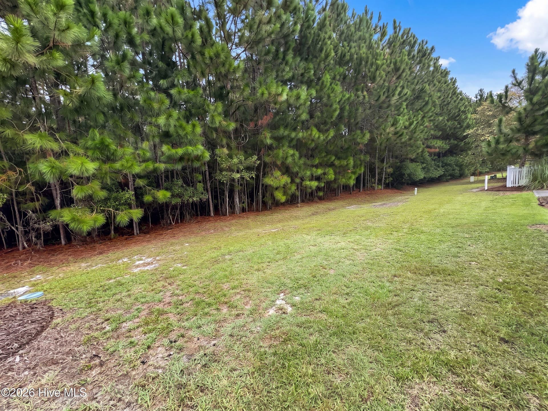 Single Family Residence at 1061 Sandy Grove, Leland, NC 28451, photo 22 of 22