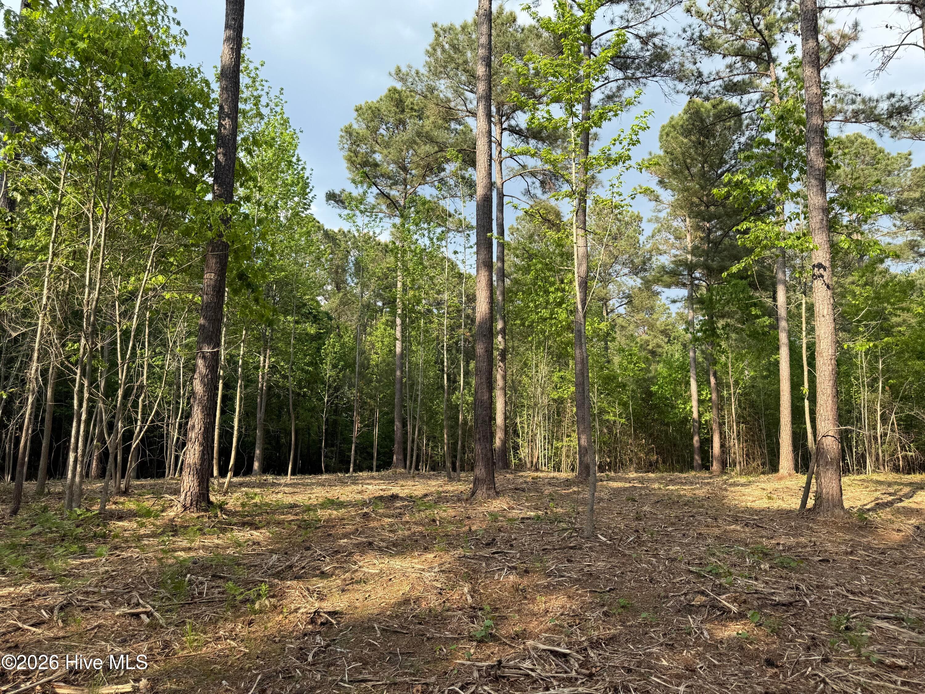 Undeveloped at 000 Tbd Lancaster Store Road Road, Spring Hope, NC 27882, photo 5 of 7