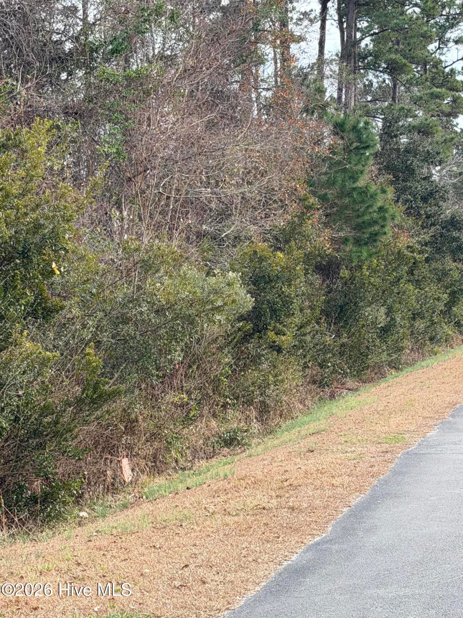 Residential Lot at 0 5 Joans Haven Drive, Newport, NC 28570, photo 2 of 4