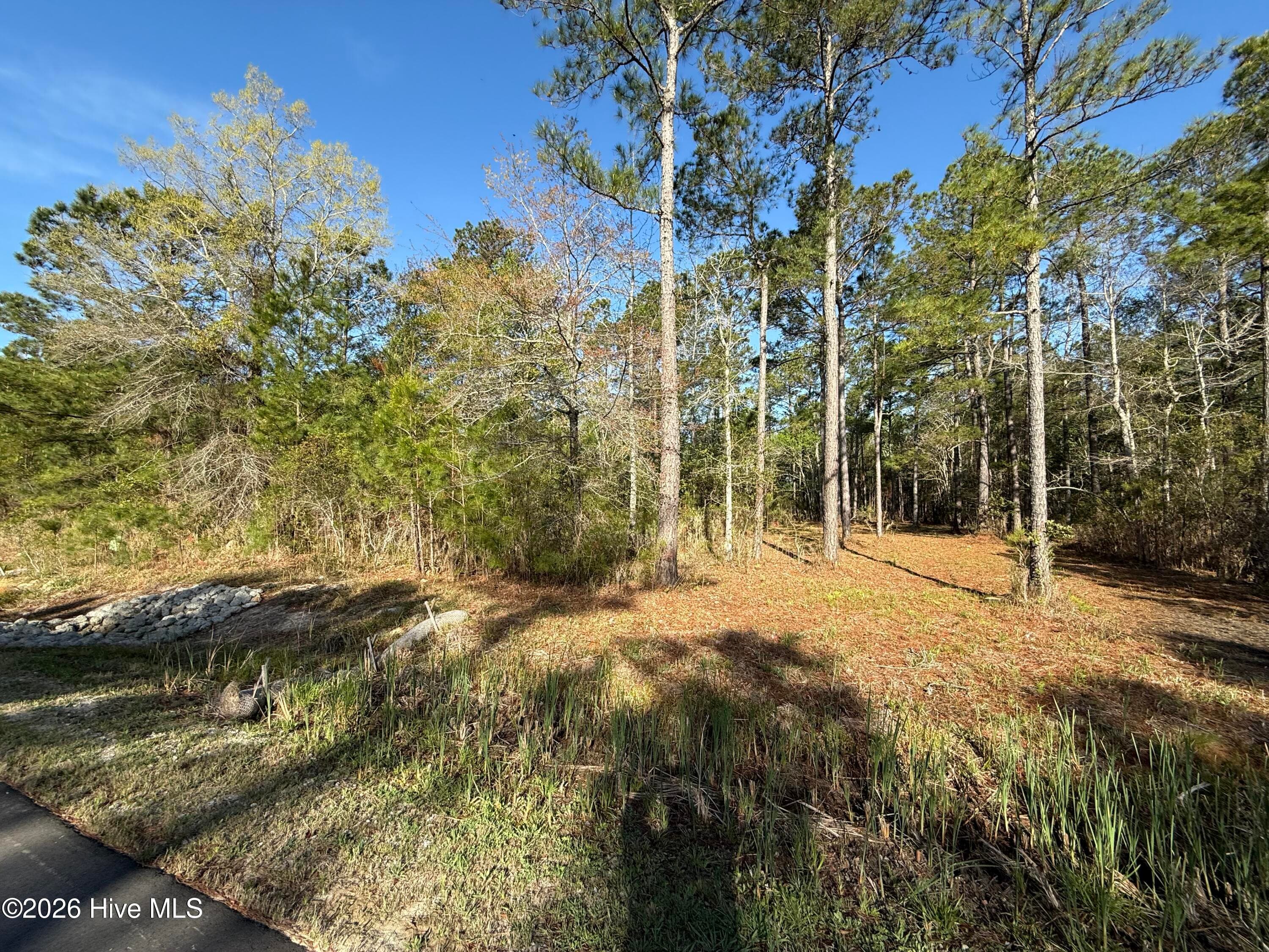 Residential Land at 125 14 Shell Castle Lane, Vandemere, NC 28587, photo 3 of 7