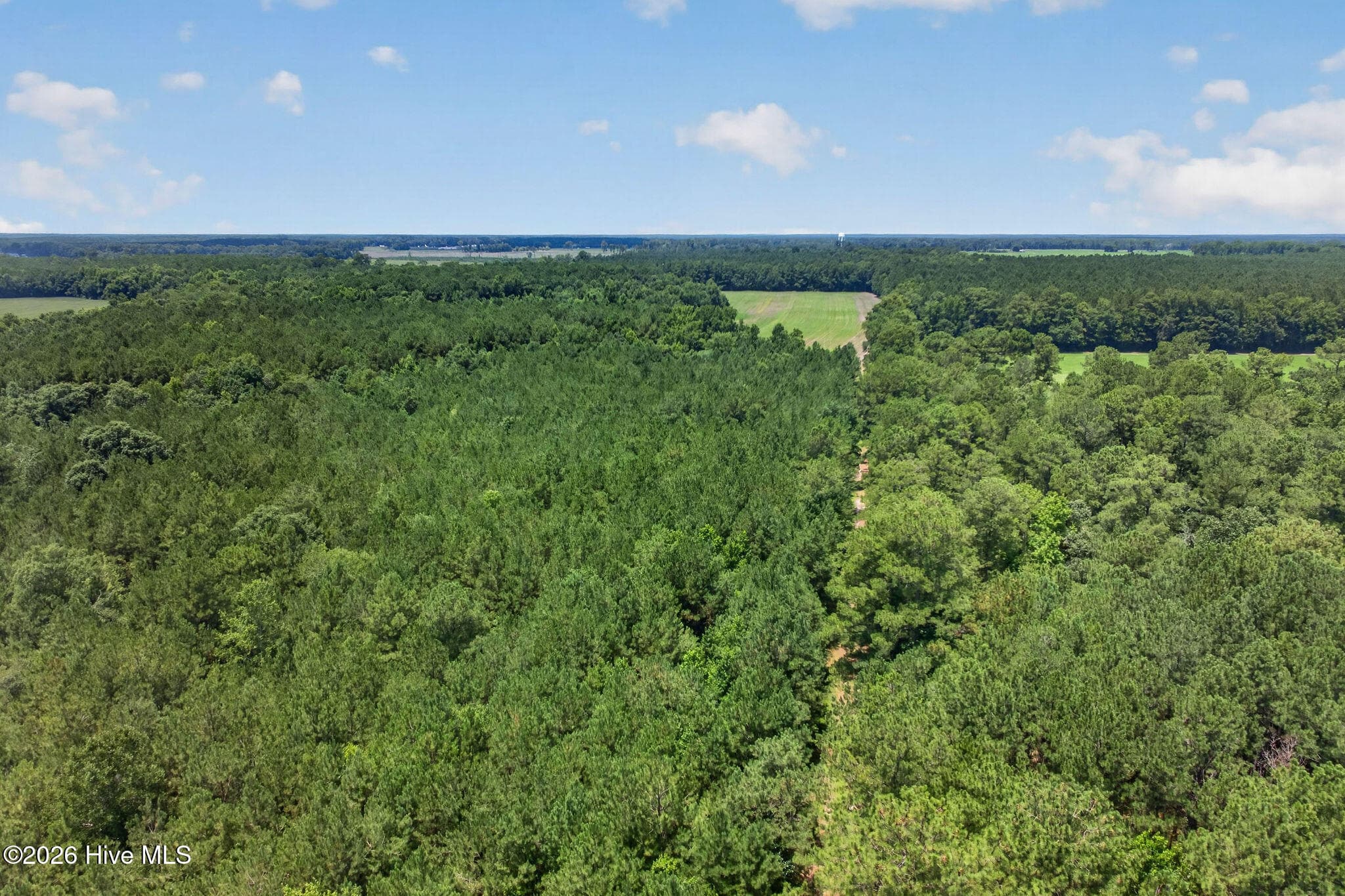 Wooded at 1 Acre Off 2 Laura Hill Drive, Clarkton, NC 28433, photo 5 of 10