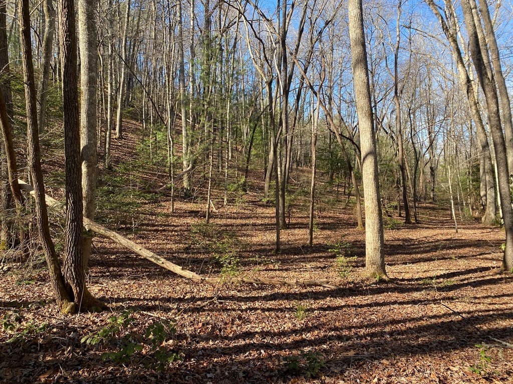 Land at TBD Collett Wood Cove, Andrews, NC 28901, photo 3 of 5